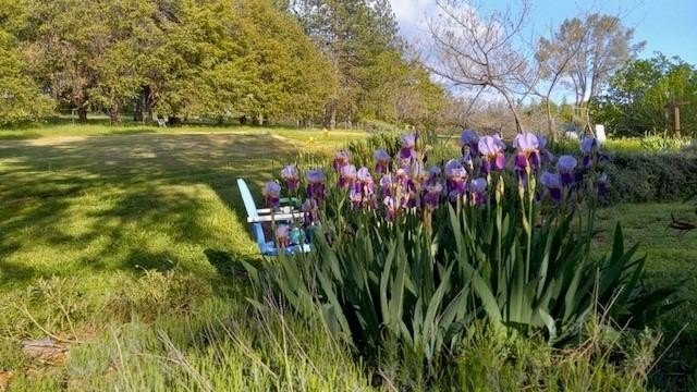 Mokelumne Hill, California, 95245, United States, 5 Bedrooms Bedrooms, ,3 BathroomsBathrooms,Residential,For Sale,1914362
