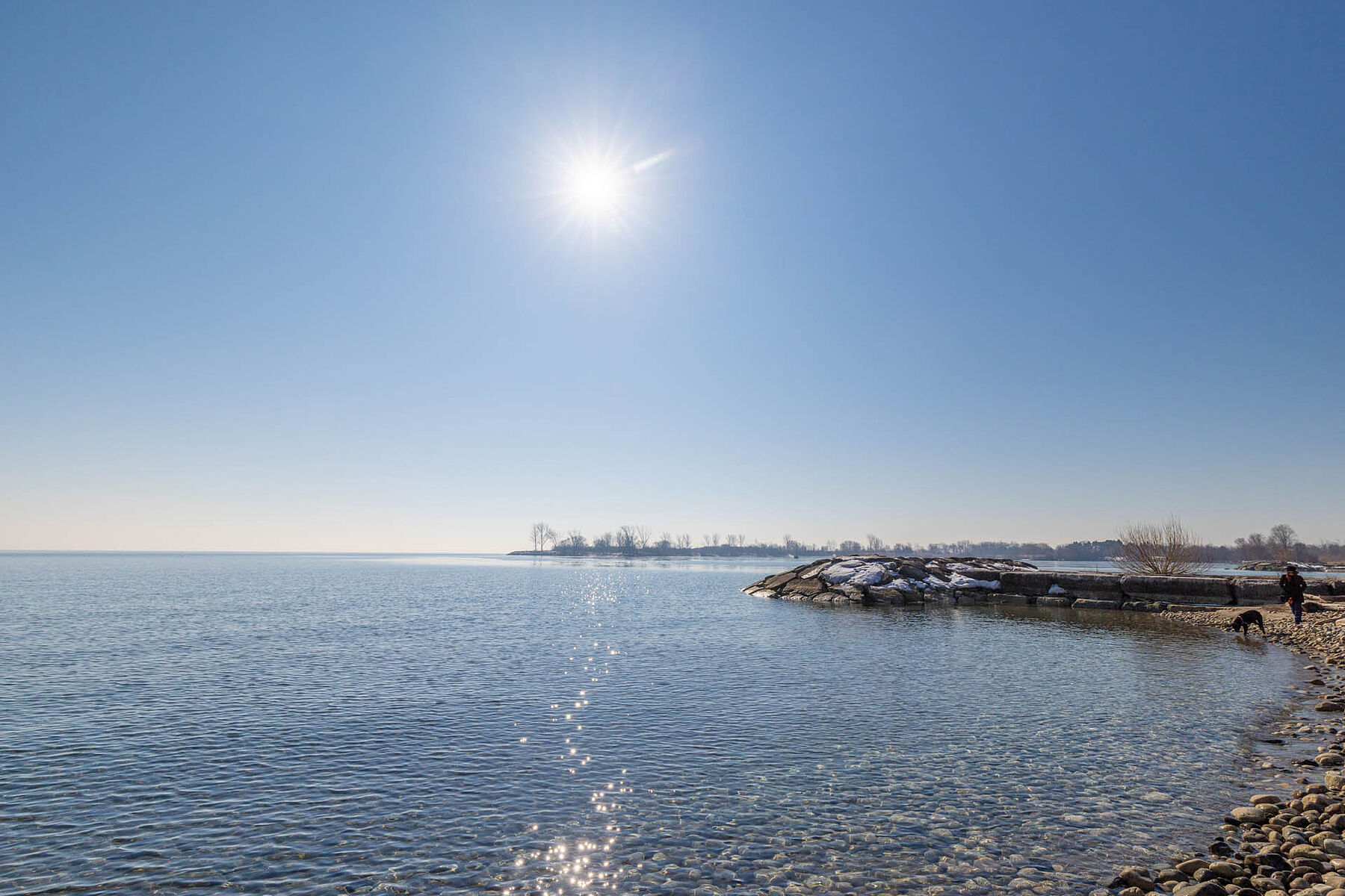  Mimico Waterfront Living - 物件實景