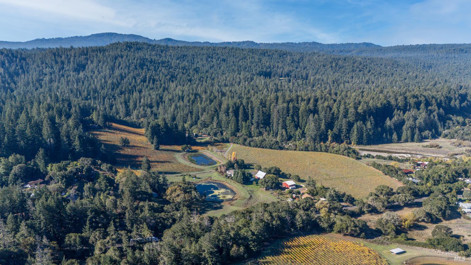 Philo, California, 95466, United States, 3 Bedrooms Bedrooms, ,3 BathroomsBathrooms,Residential,For Sale,1987364