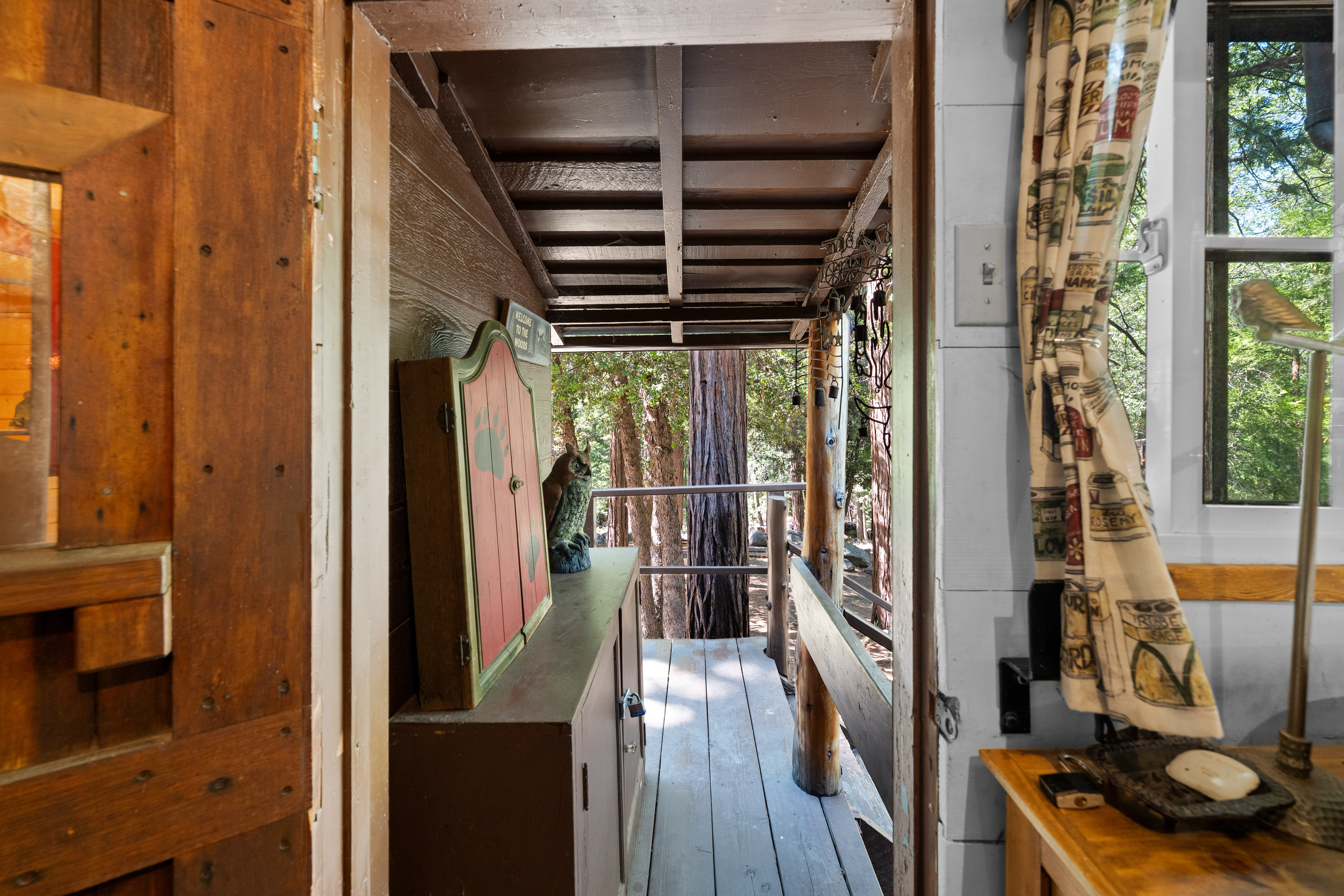  70 Barton Flats Road, Angelus Oaks, CA 92305 - 物件實景