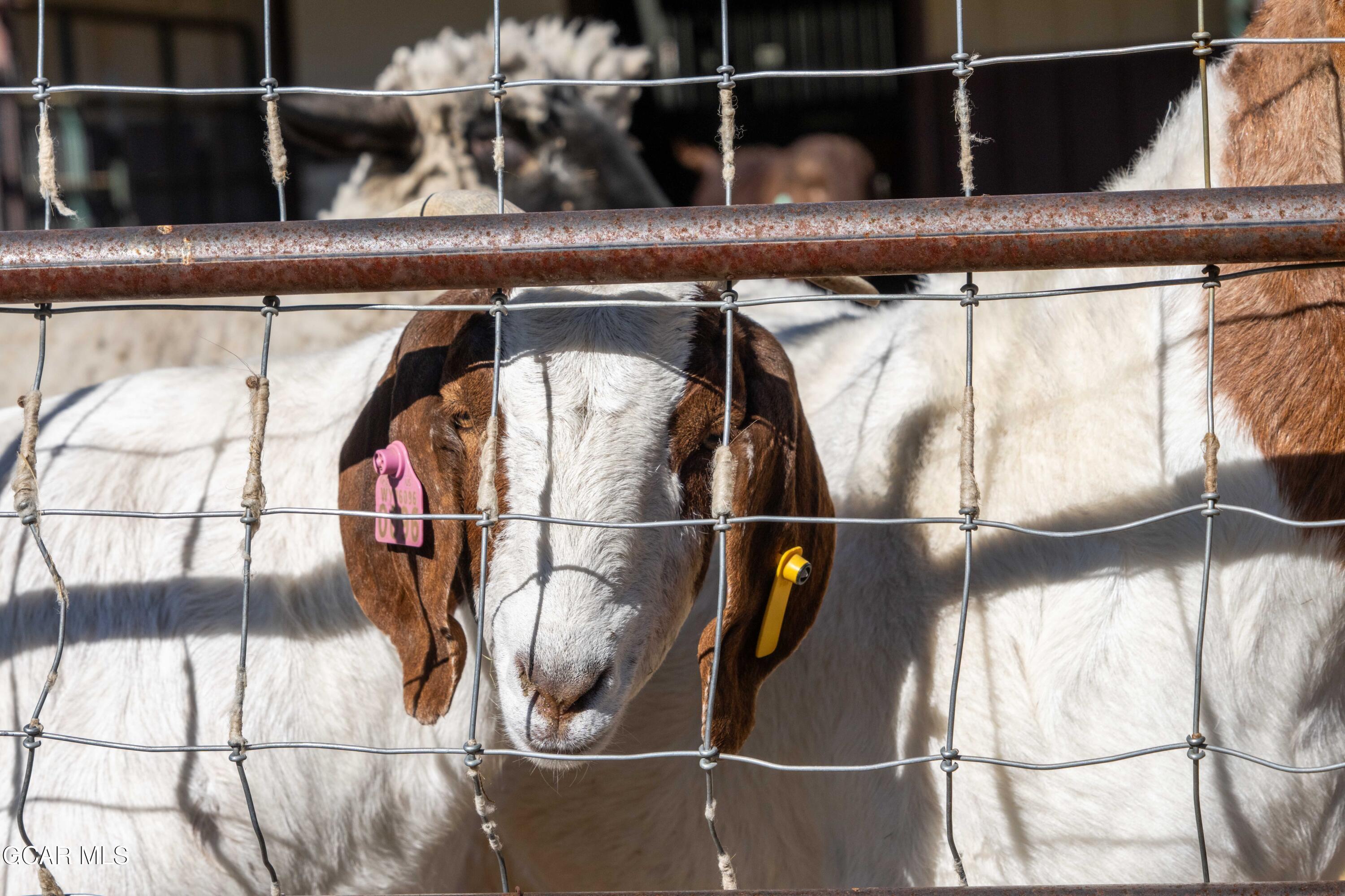 Hot Sulphur Springs, Colorado, 80451, United States, 6 Bedrooms Bedrooms, ,6 BathroomsBathrooms,Residential,For Sale,1999593