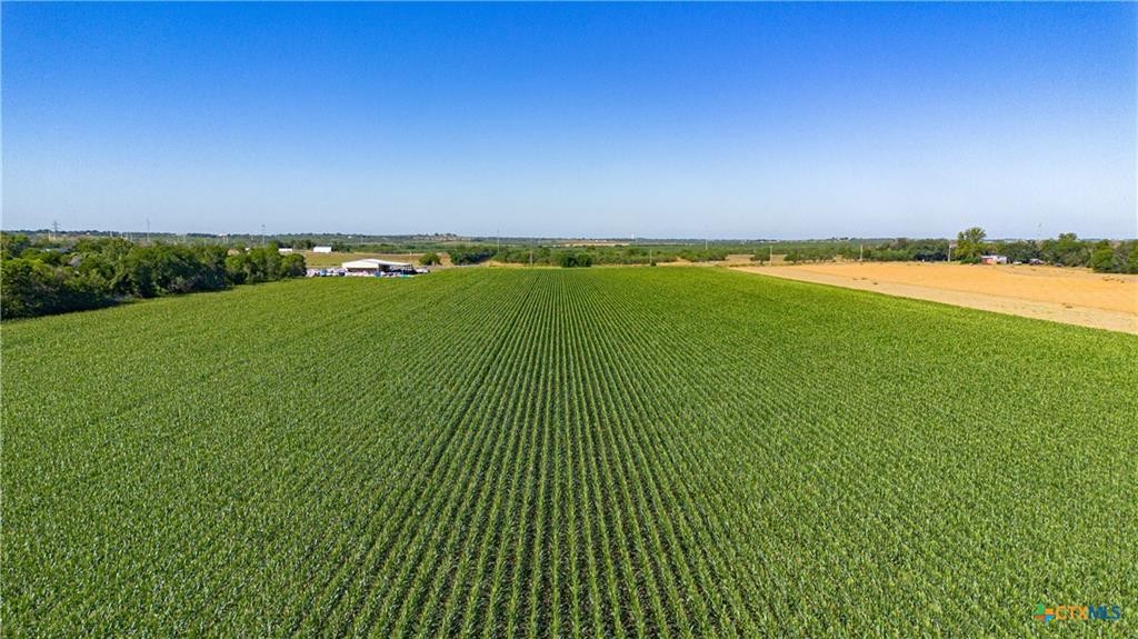 Mcqueeney, Texas, 78123, United States, ,Land,For Sale,1980081