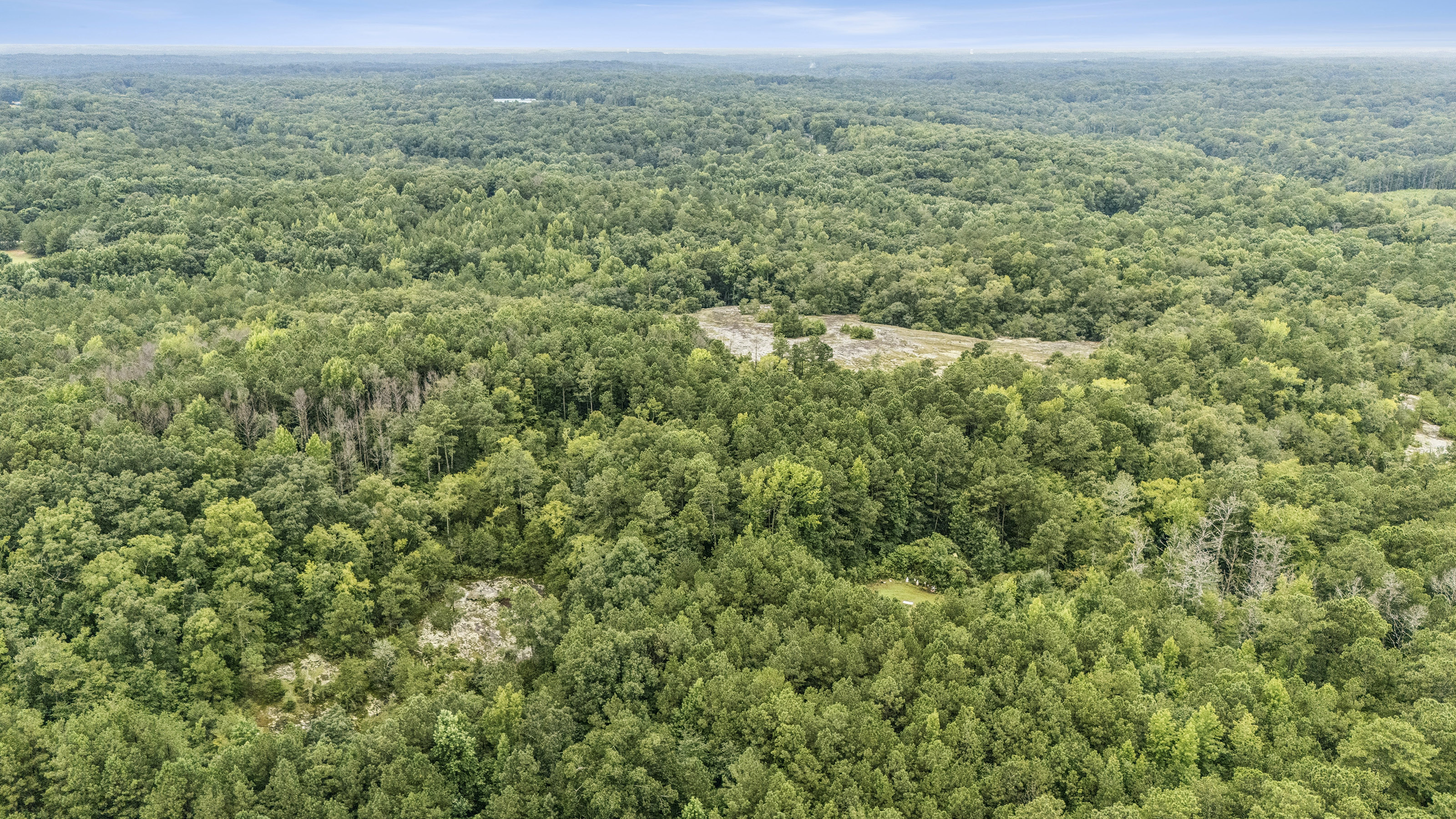  Incredible Development Opportunity on Over Ten Acres on Prime Stockbridge Site - 物件實景
