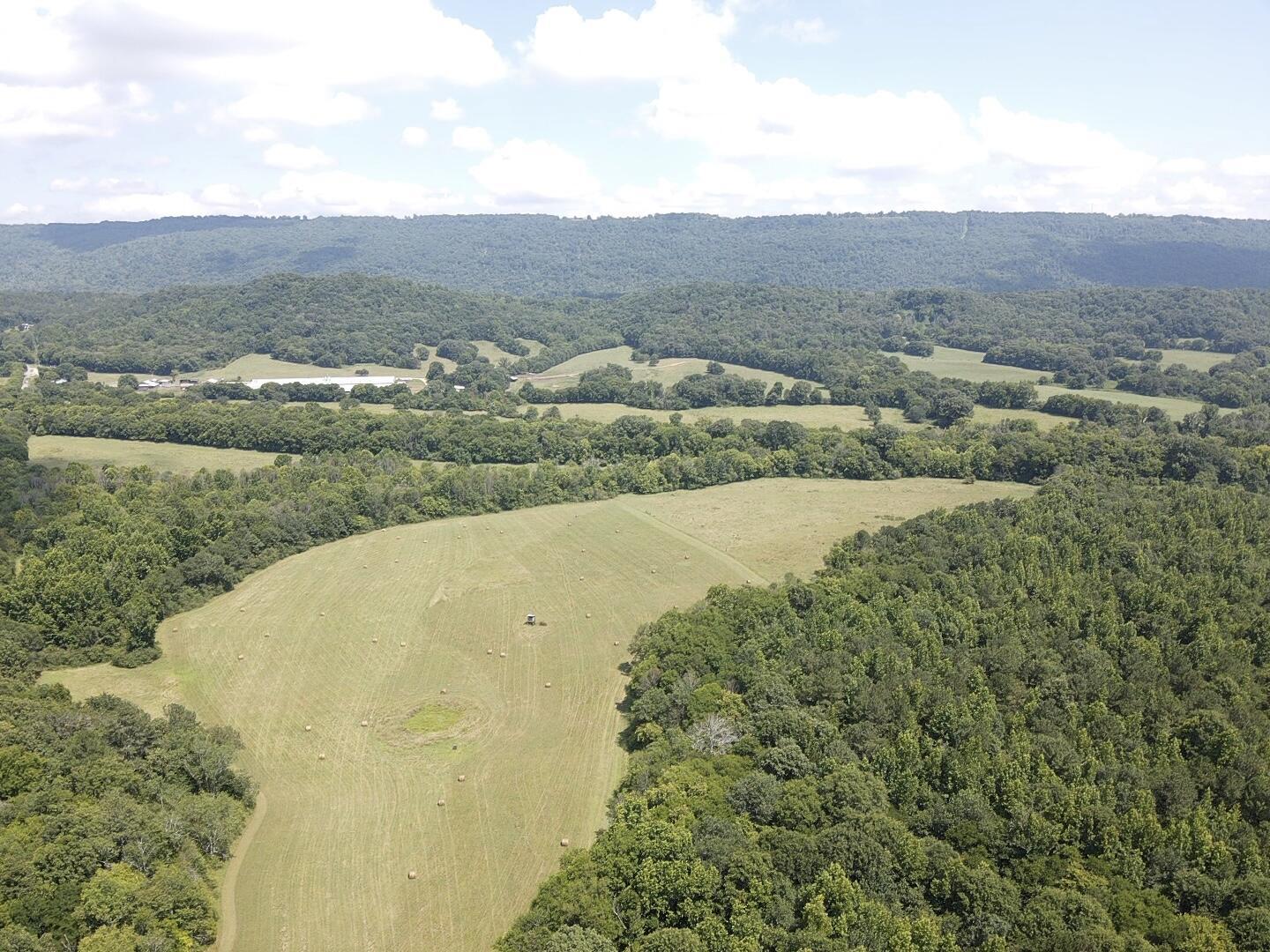 Bryant, Alabama, 35958, United States, ,Land,For Sale,1982684