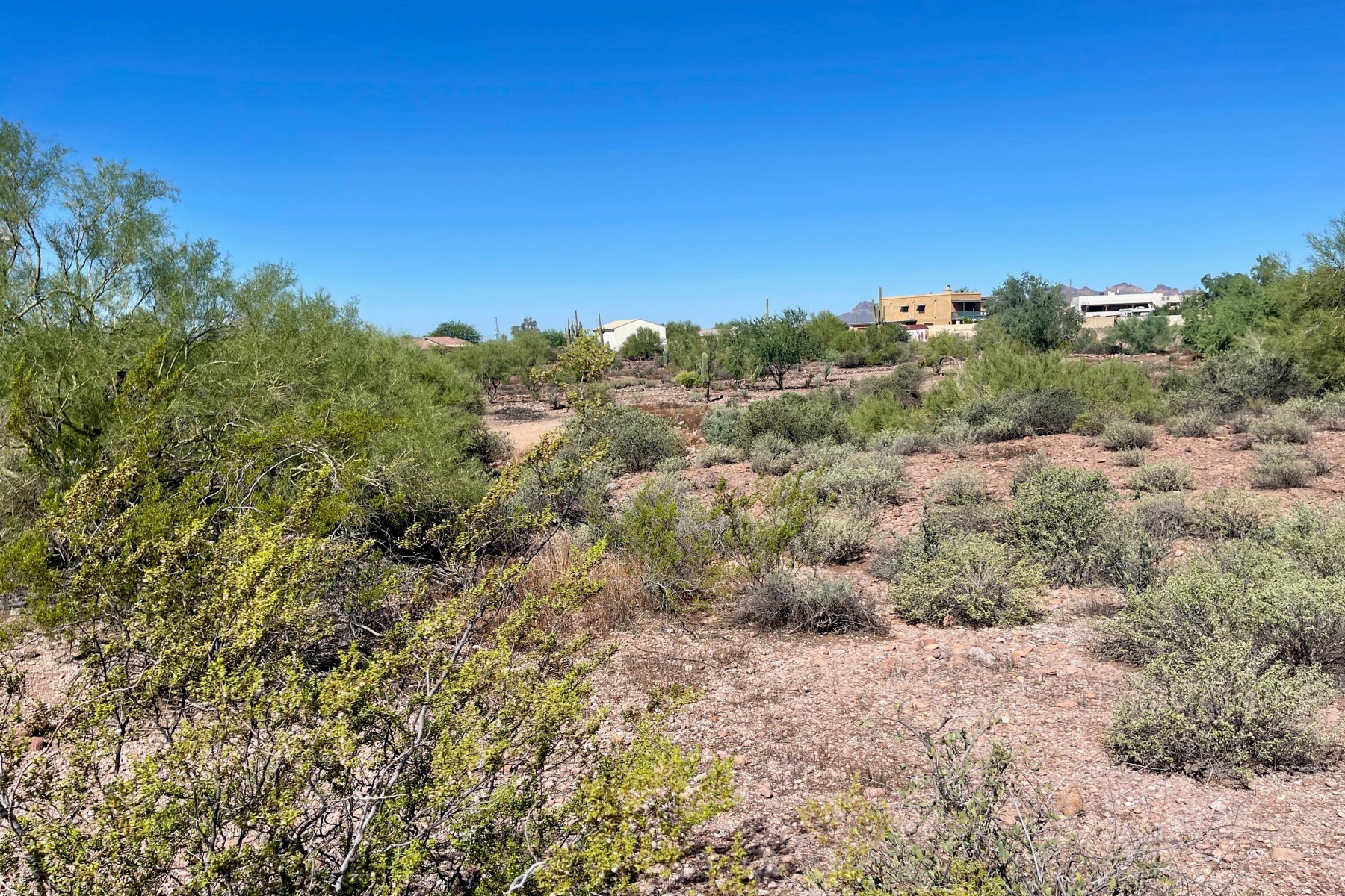  52 E Scenic (geronimo) Street¦Apache Junction, AZ - 物件實景