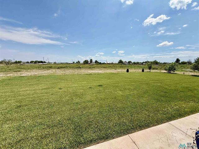 Lake Arthur, New Mexico, 88253, United States, 4 Bedrooms Bedrooms, ,4 BathroomsBathrooms,Residential,For Sale,1977233