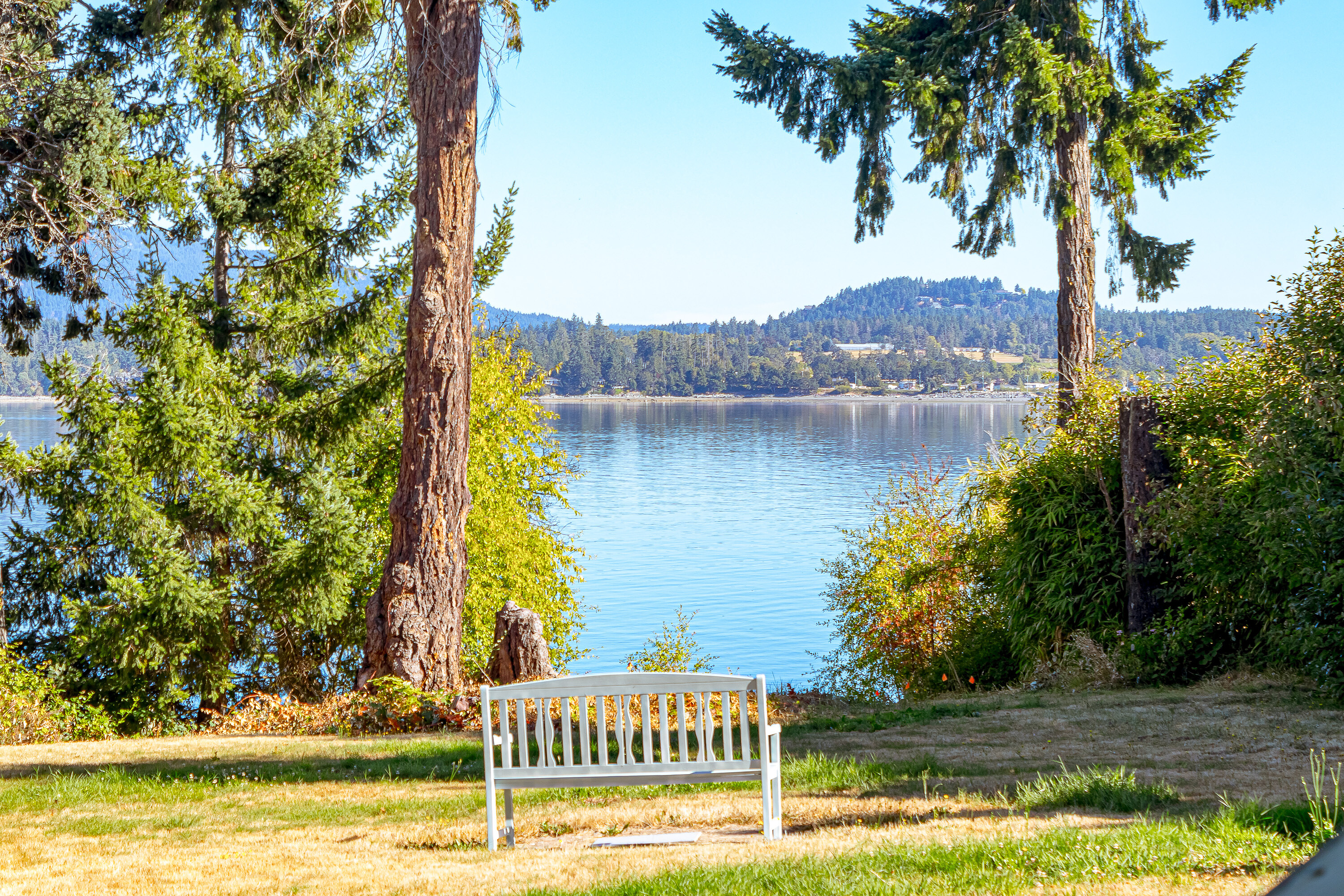  Prime Waterfront Home - 物件實景