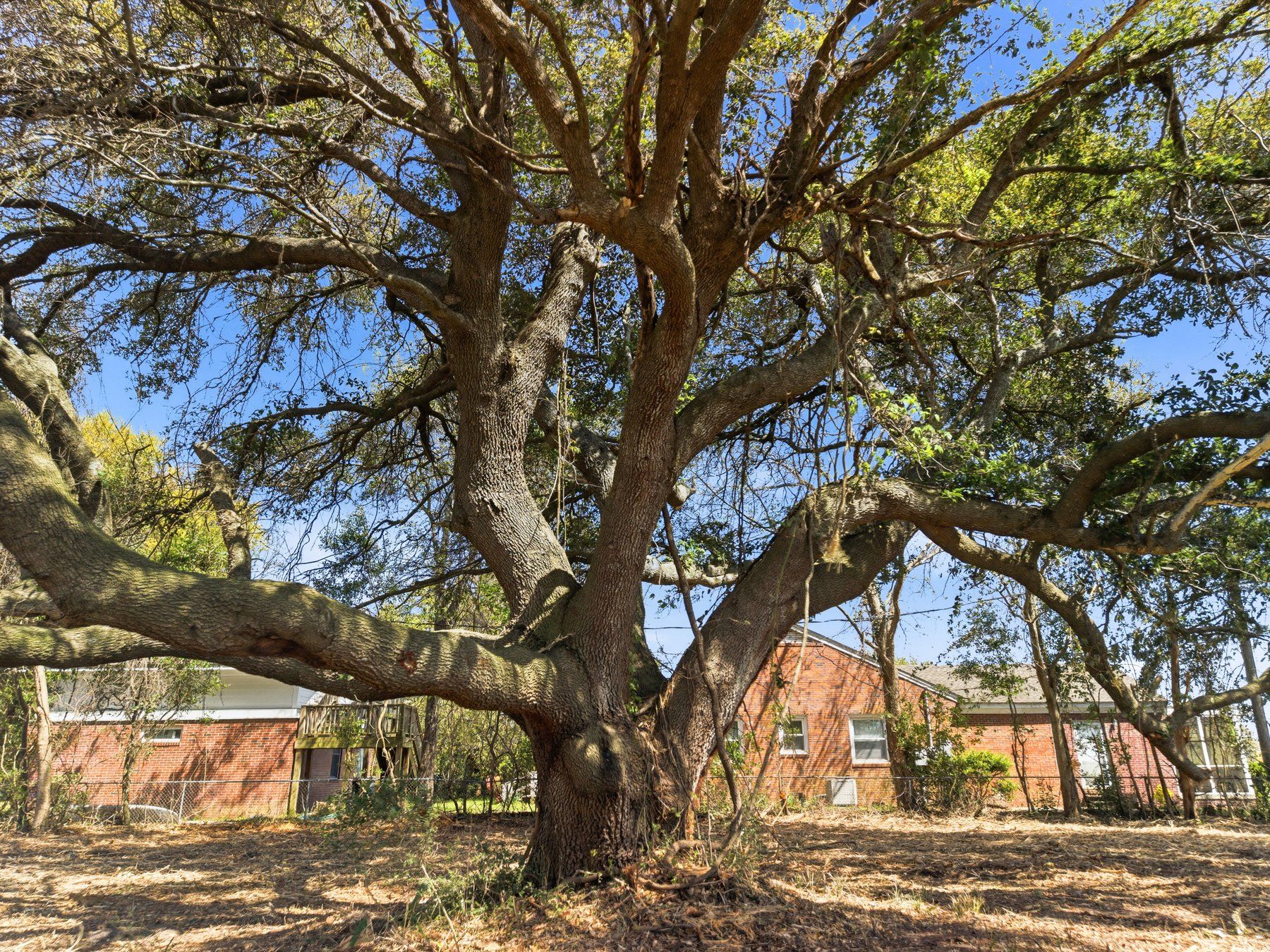  8612 Bald Eagle Lane, Wilmington, NC 28411 - 物件實景