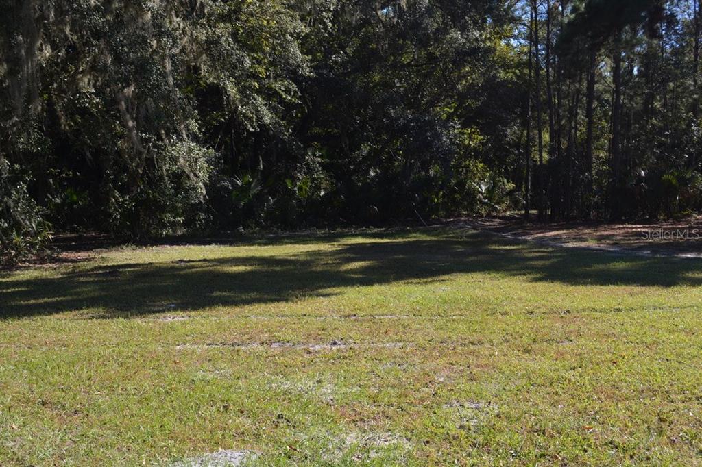 Sanford, Florida, 32773, United States, ,Land,For Sale,1987674