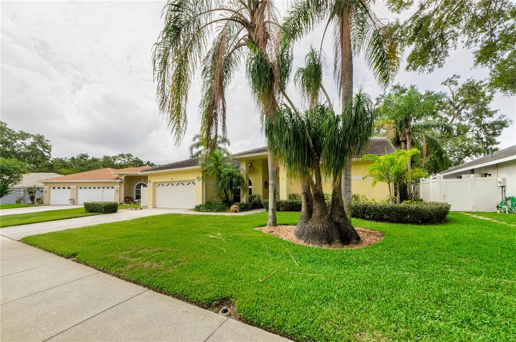 Dunedin, Florida, 34698, United States, 4 Bedrooms Bedrooms, ,2 BathroomsBathrooms,Residential,For Sale,1848616