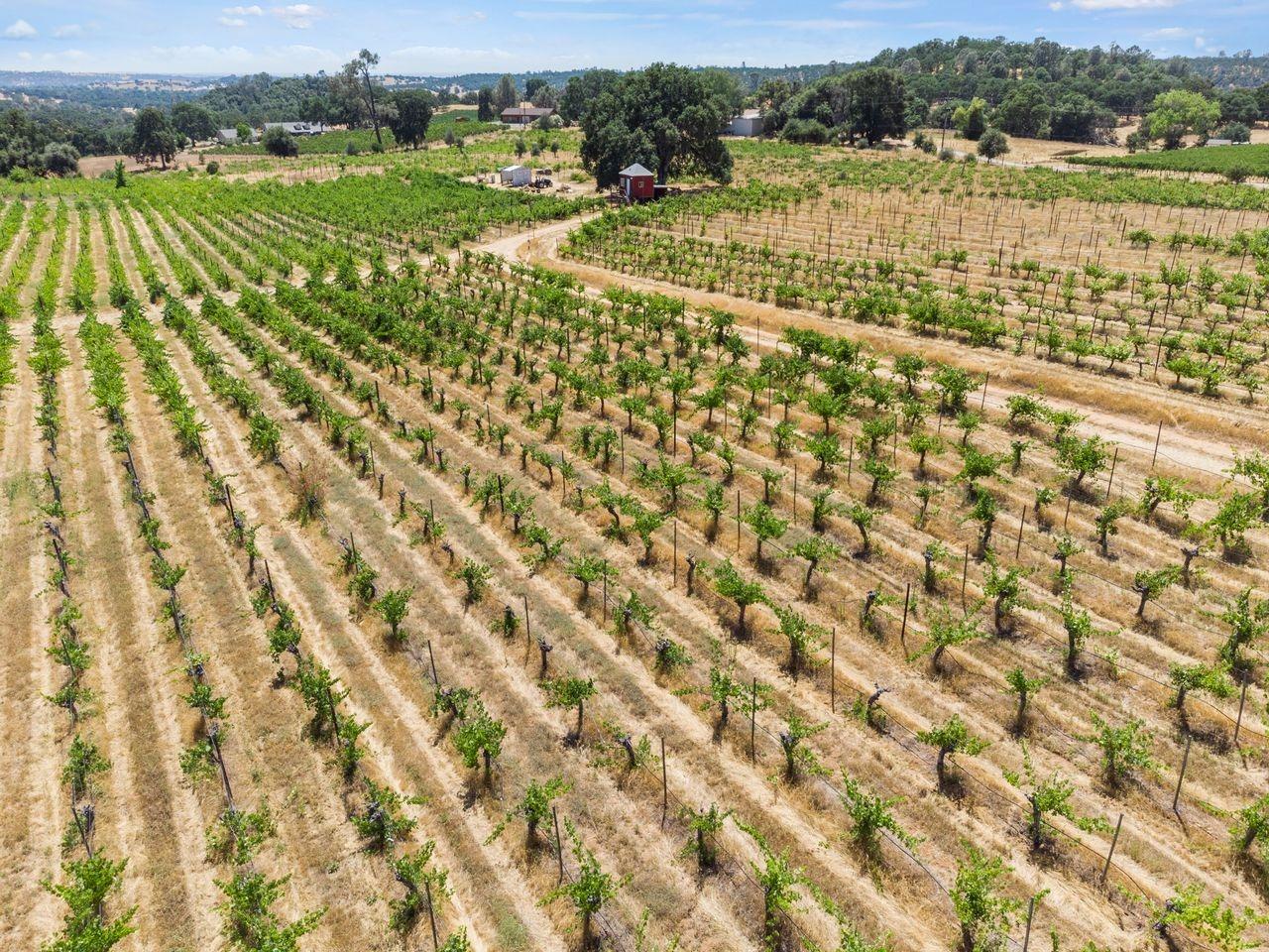 21226 Dickson Road, Plymouth, California, 95669, United States, ,Land,For Sale,21226 Dickson Road,1672447