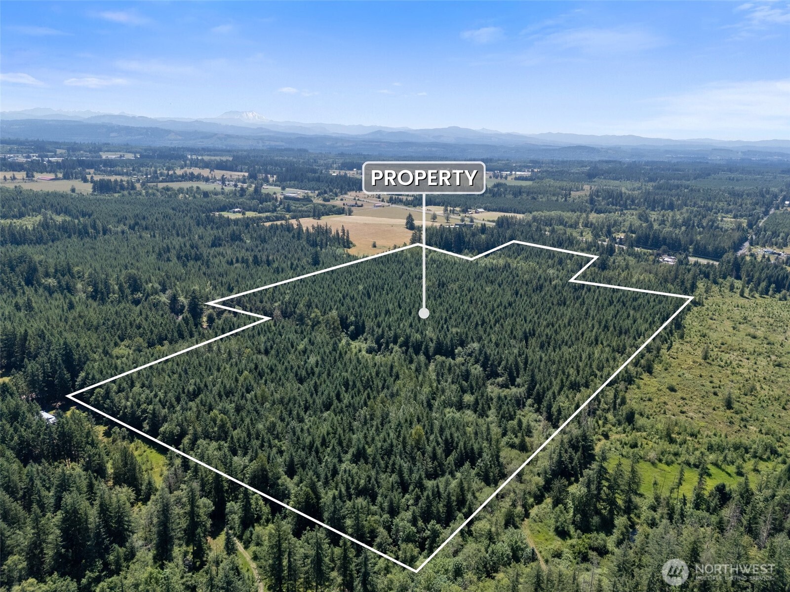 Ethel, Washington, 98542, United States, ,Residential,For Sale,1936927