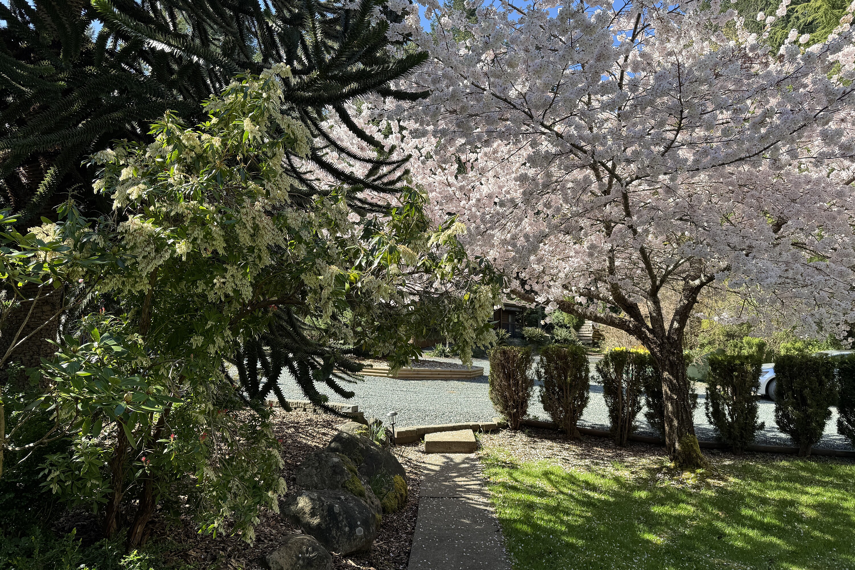  Casa Kaui - 物件實景