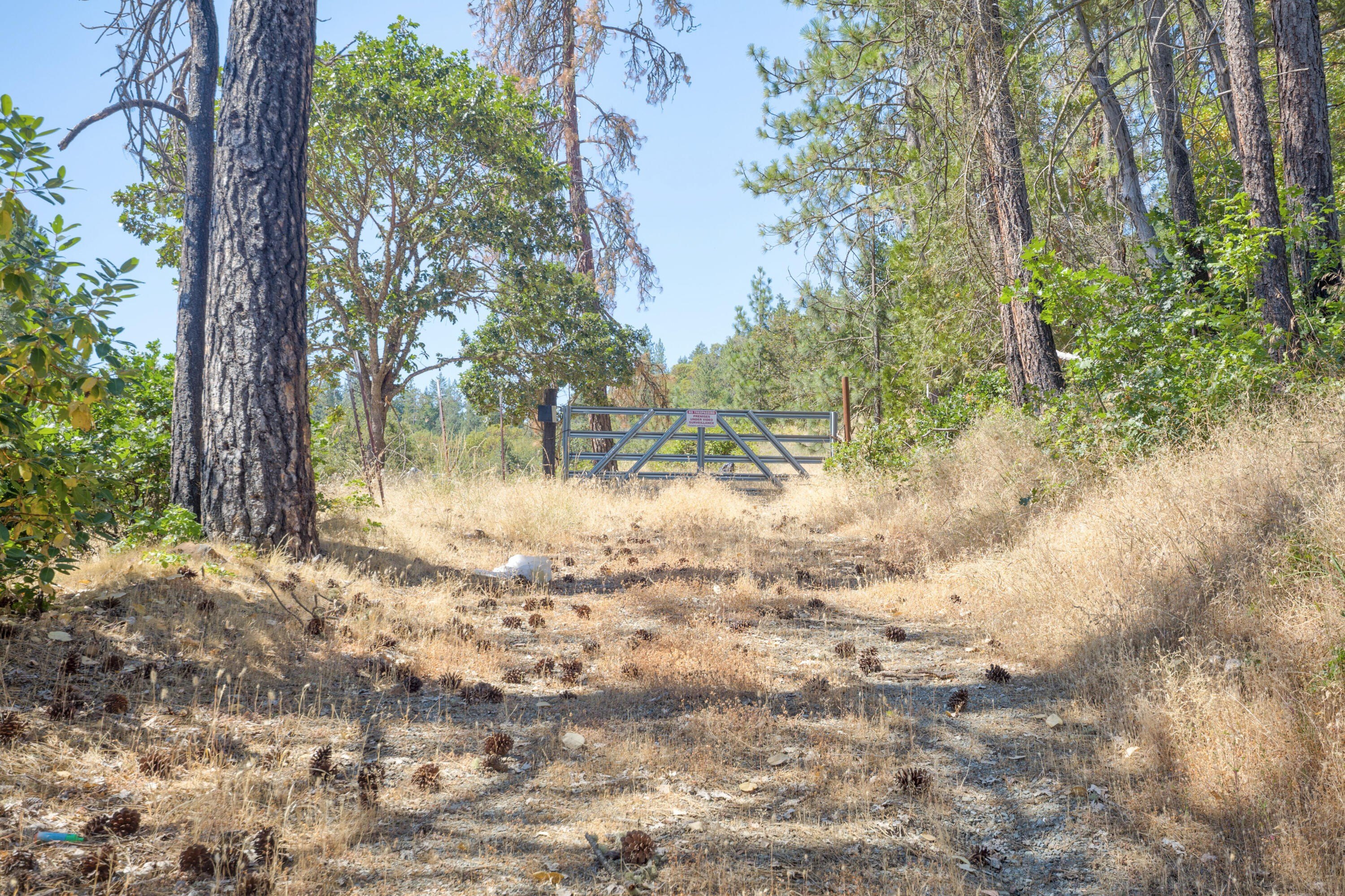 Williams, Oregon, 97544, United States, 3 Bedrooms Bedrooms, ,2 BathroomsBathrooms,Residential,For Sale,1983882