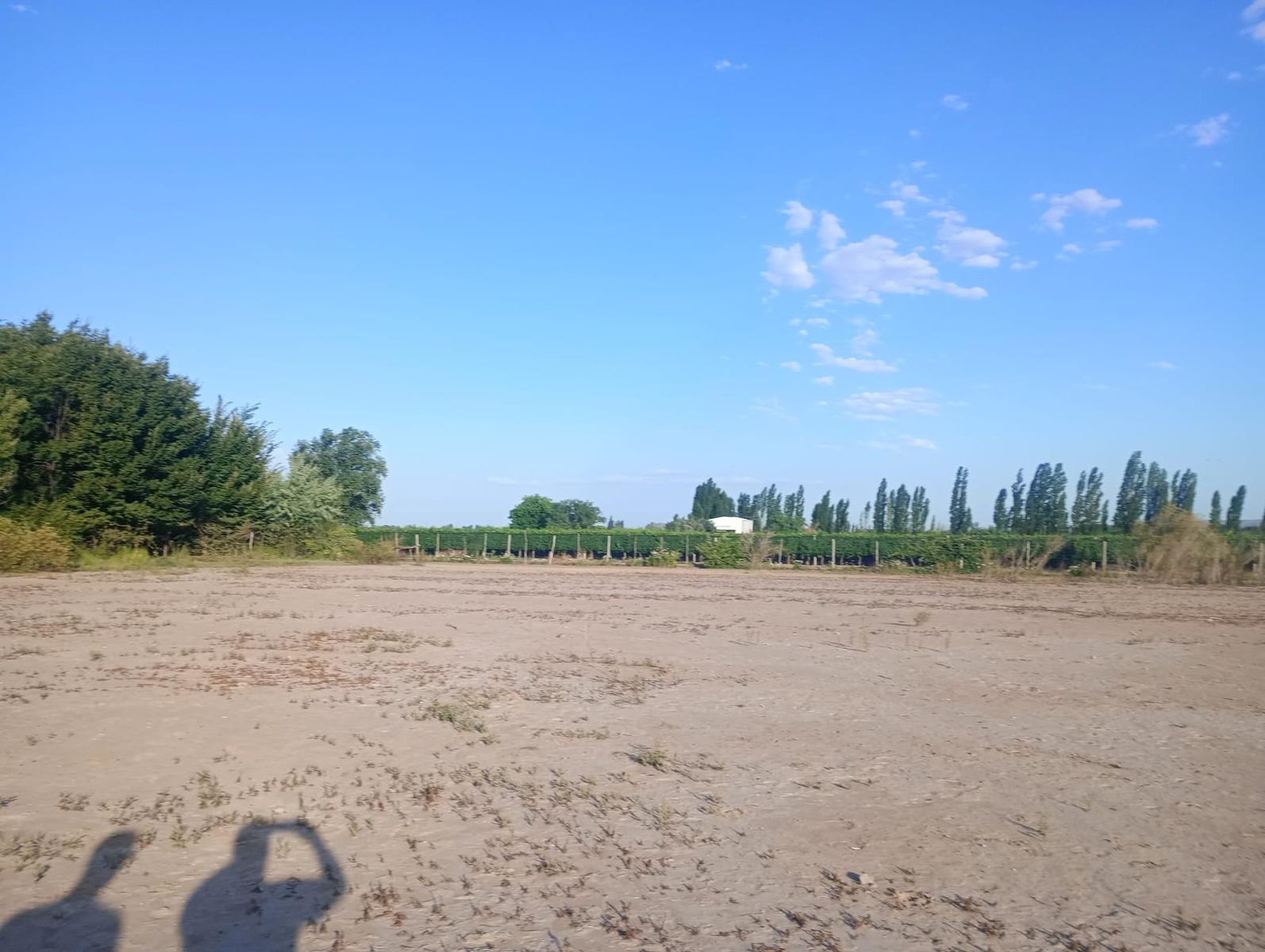 Lujan De Cuyo, AR-M, AR, ,Land,For Sale,1819994