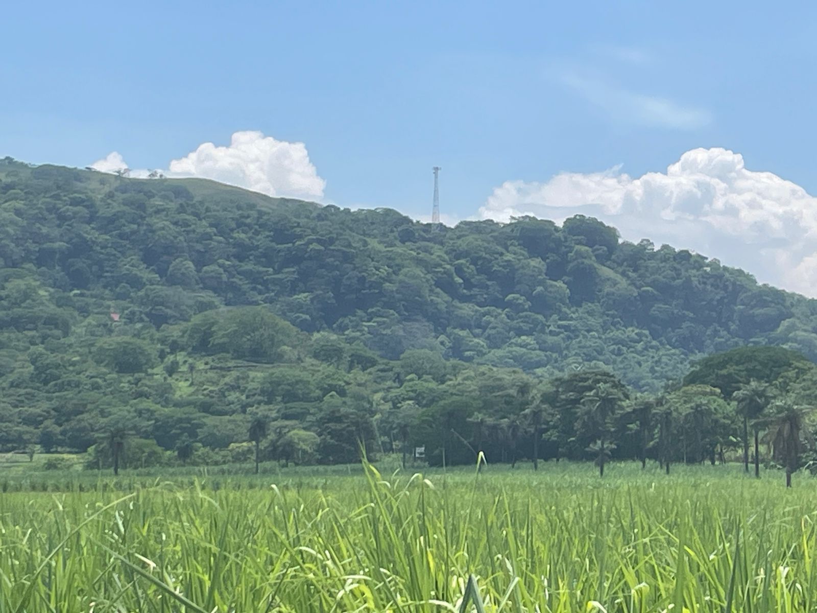 Escobal, Atenas, Atenas, Alajuela, CR, ,Land,For Sale,Escobal, Atenas,1627461