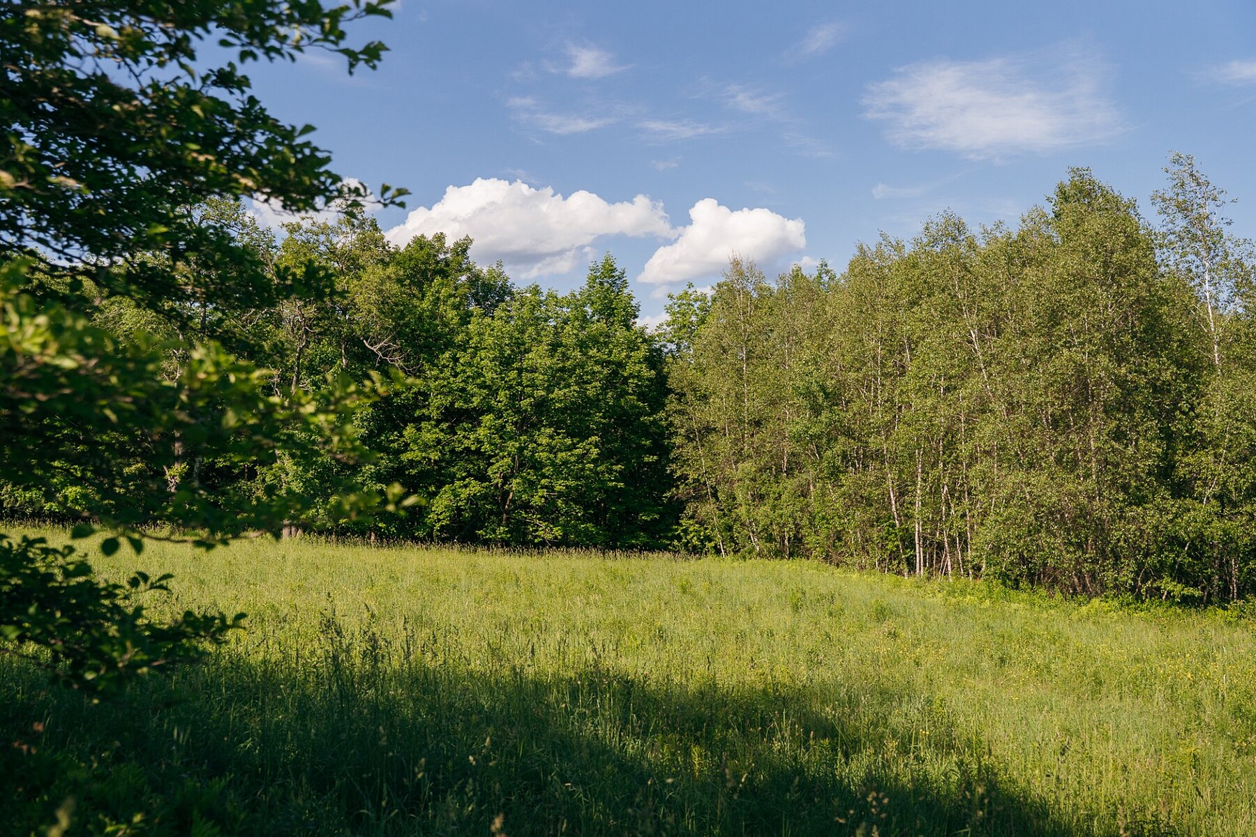  Sutton, Eastern Townships - 物件實景