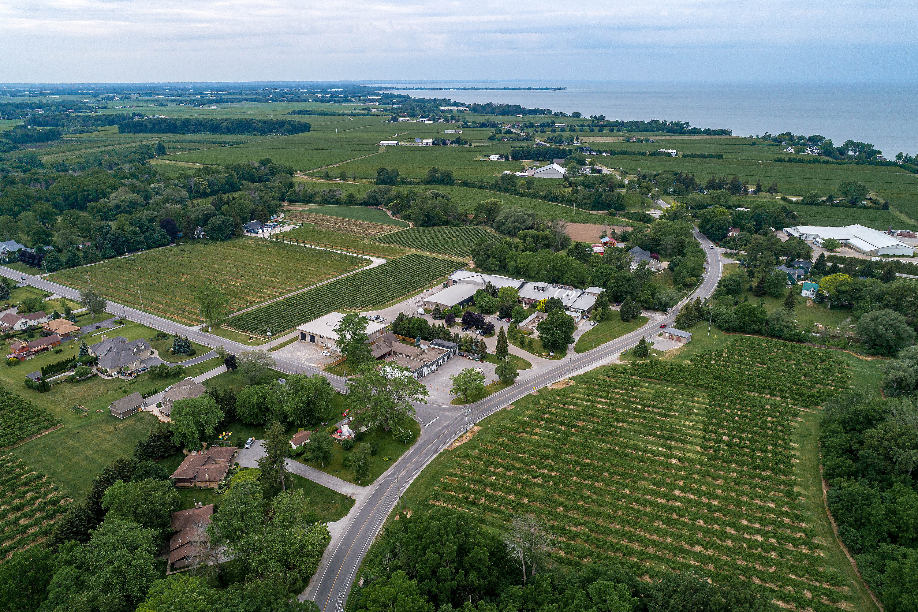  Picturesque Vineyard - 物件實景