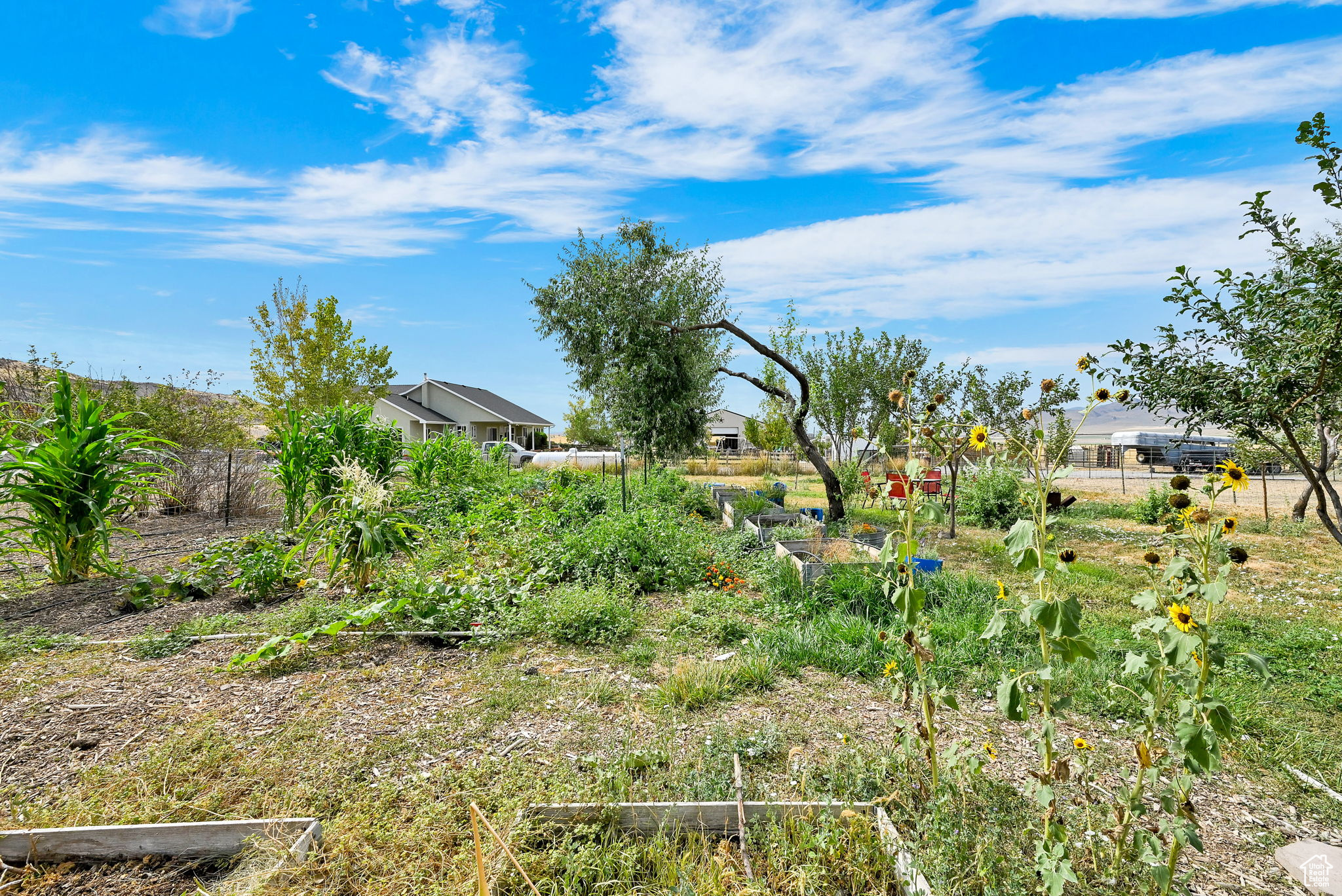 Tremonton, Utah, 84337, United States, 4 Bedrooms Bedrooms, ,3 BathroomsBathrooms,Residential,For Sale,1924806