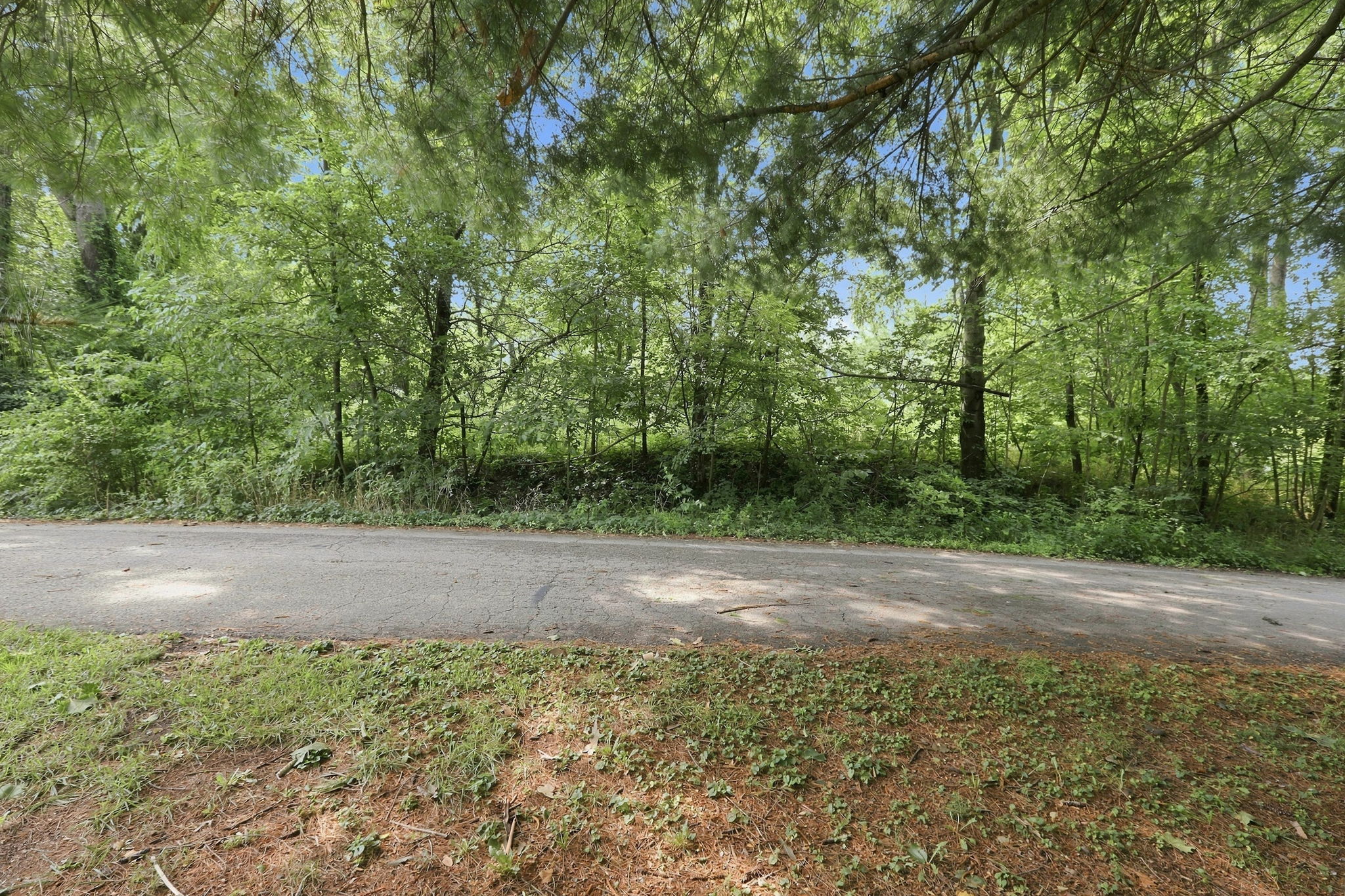  Beautiful Wooded .88 Acre Lot Ready for Your Vision - 物件實景