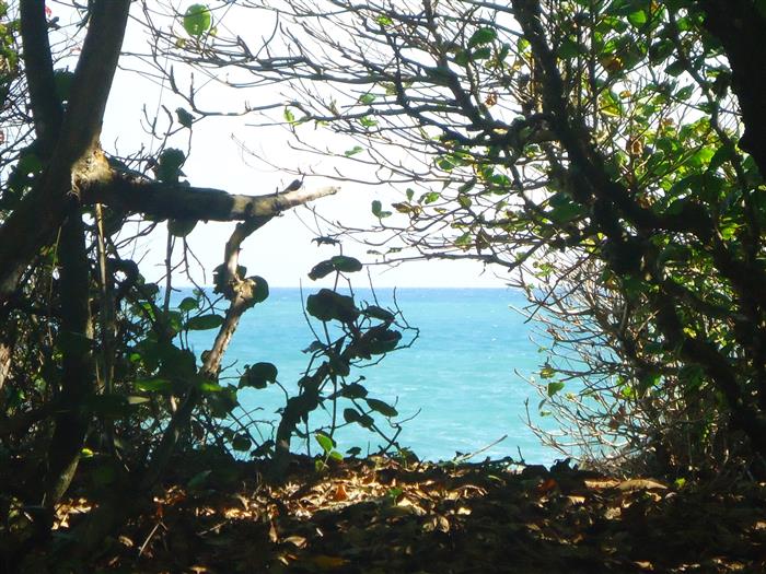 Cabarete, DO, ,Land,For Sale,927965