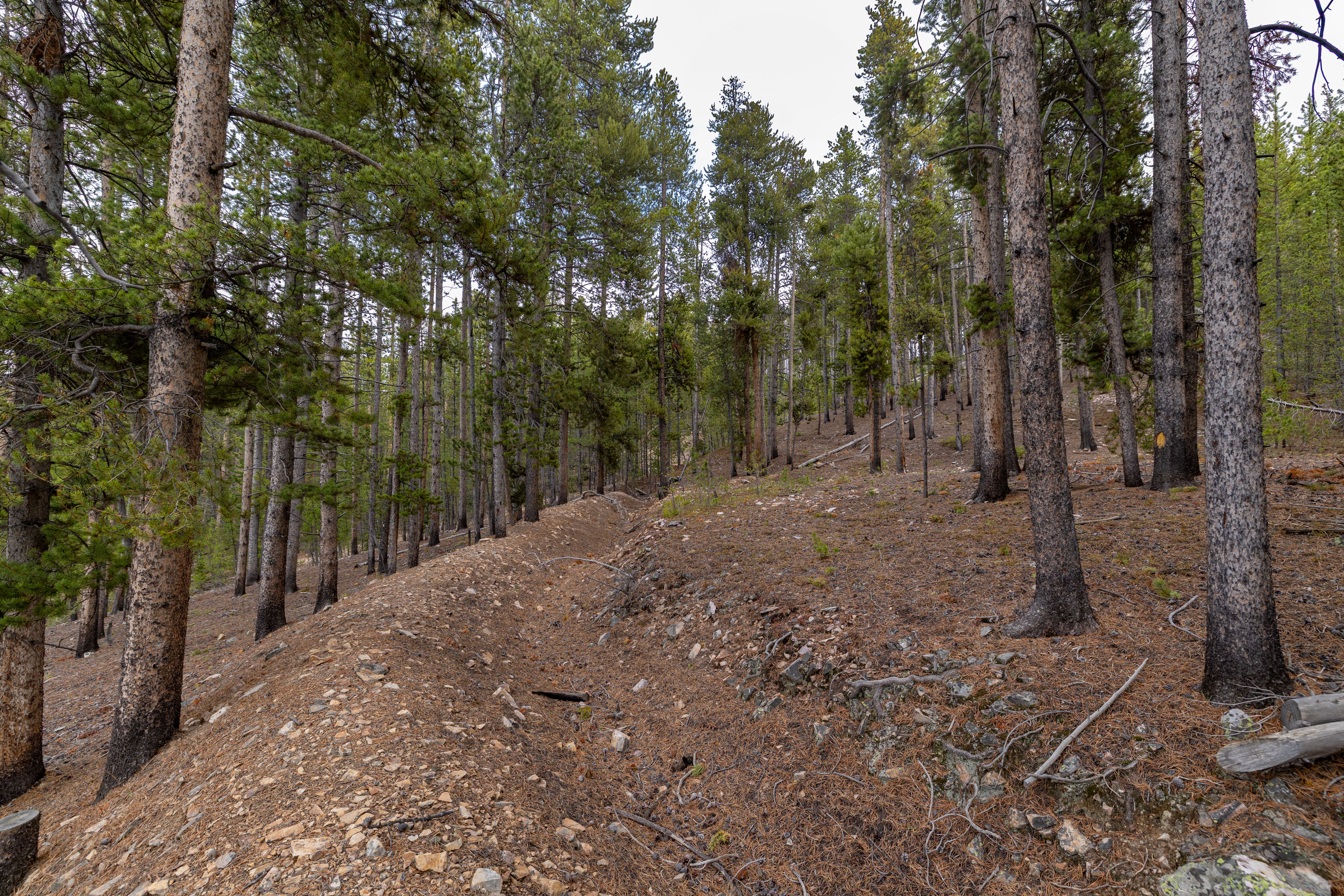  Prime Large Breckenridge Homesite in an Exceptional Location - 物件實景