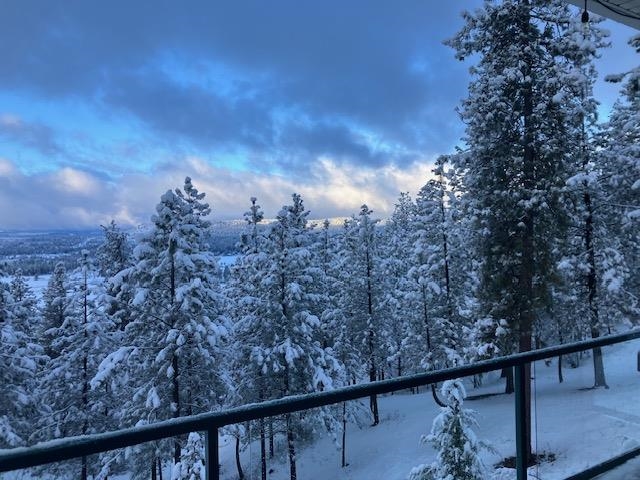 Newman Lake, Washington, 99025, United States, 3 Bedrooms Bedrooms, ,4 BathroomsBathrooms,Residential,For Sale,2028659