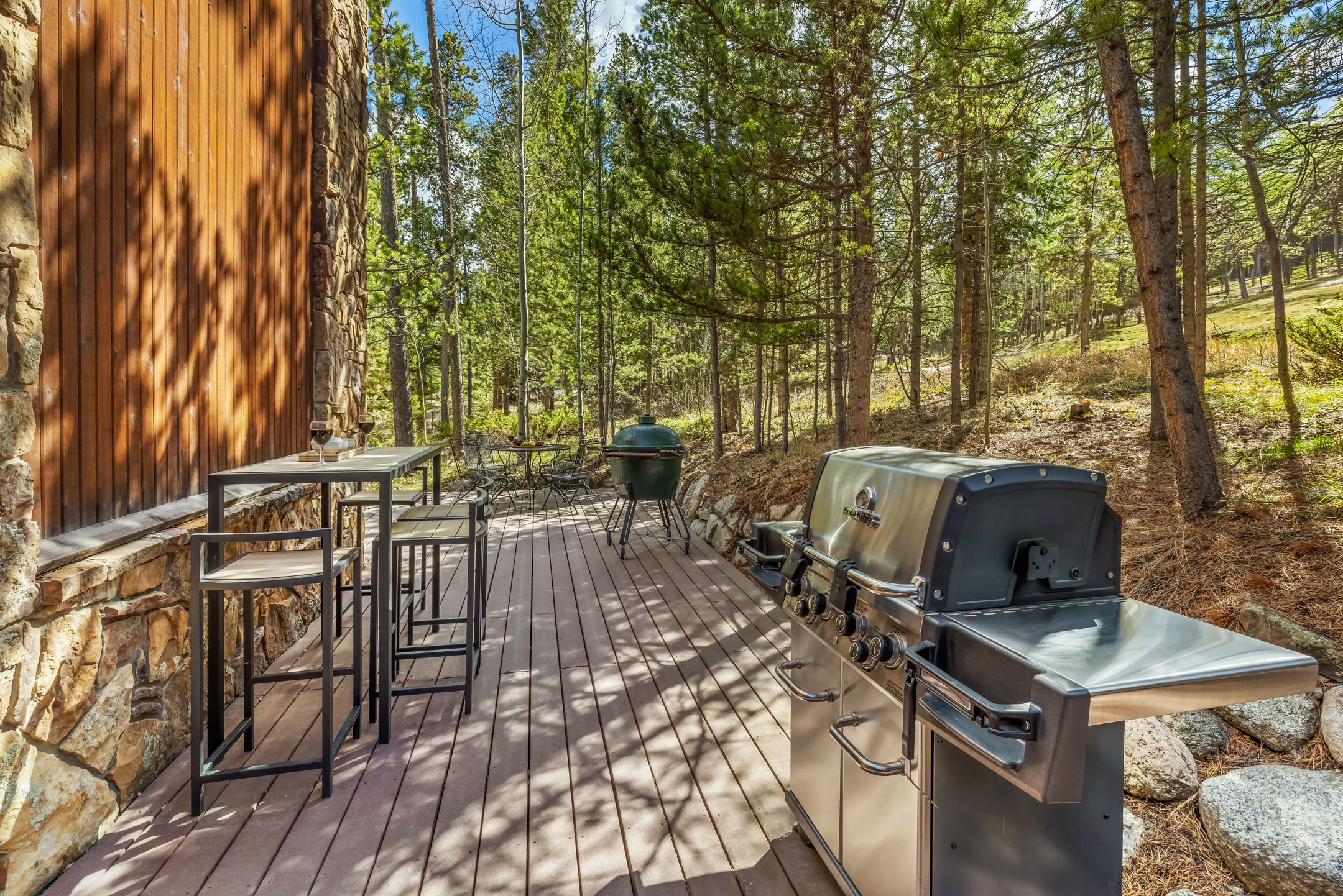  1793 Falcon Drive, Silverthorne, CO, 80498 - 物件實景