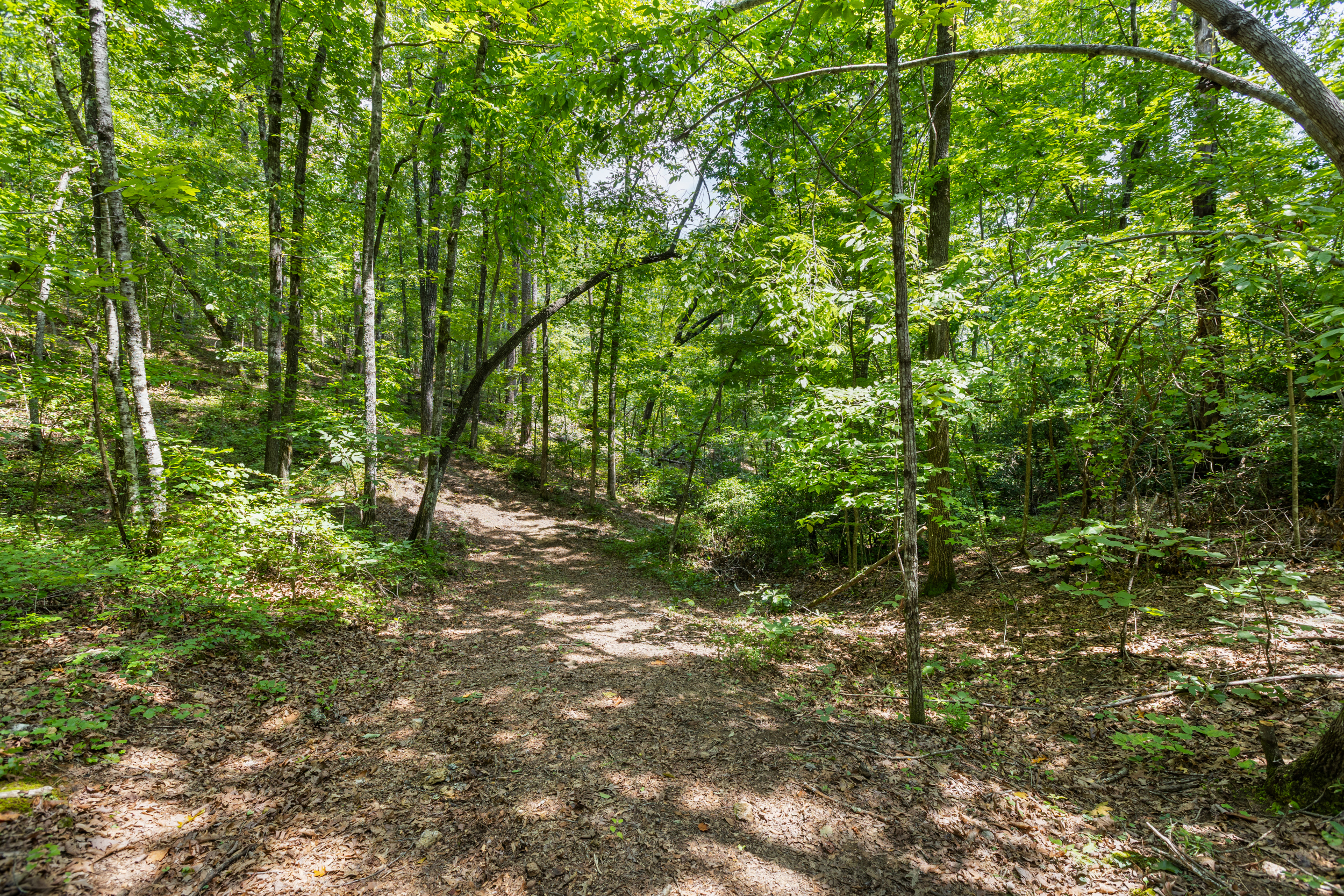  3765 South Carolina 11, Pickens, SC 29671 - 物件實景