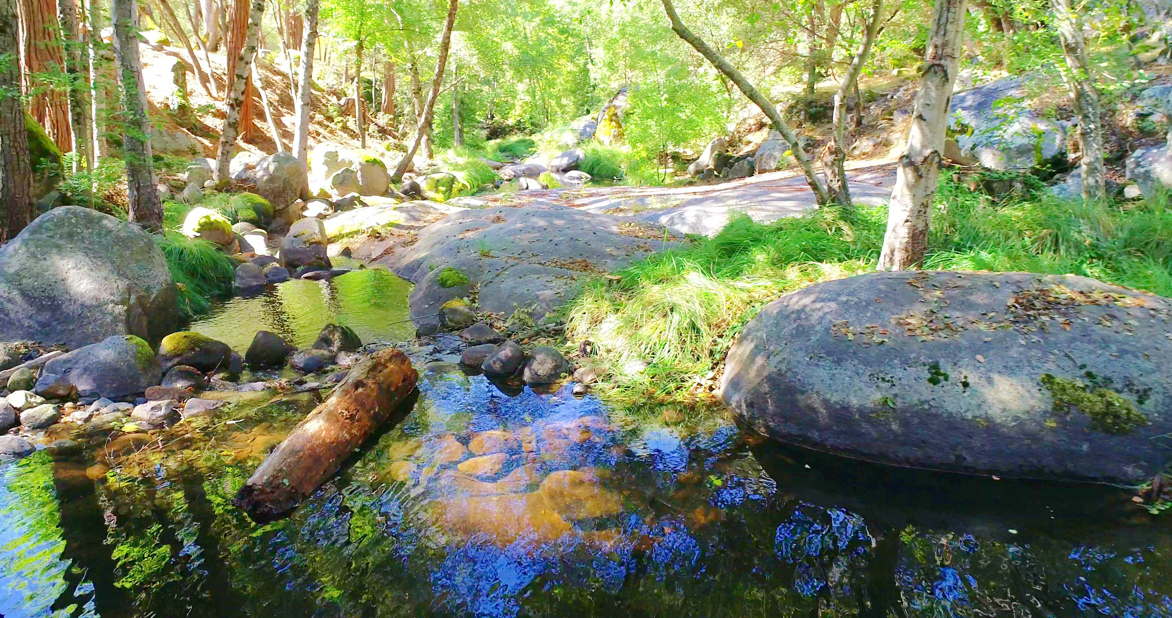 Mariposa, California, 95338, United States, 3 Bedrooms Bedrooms, ,3 BathroomsBathrooms,Residential,For Sale,1973787