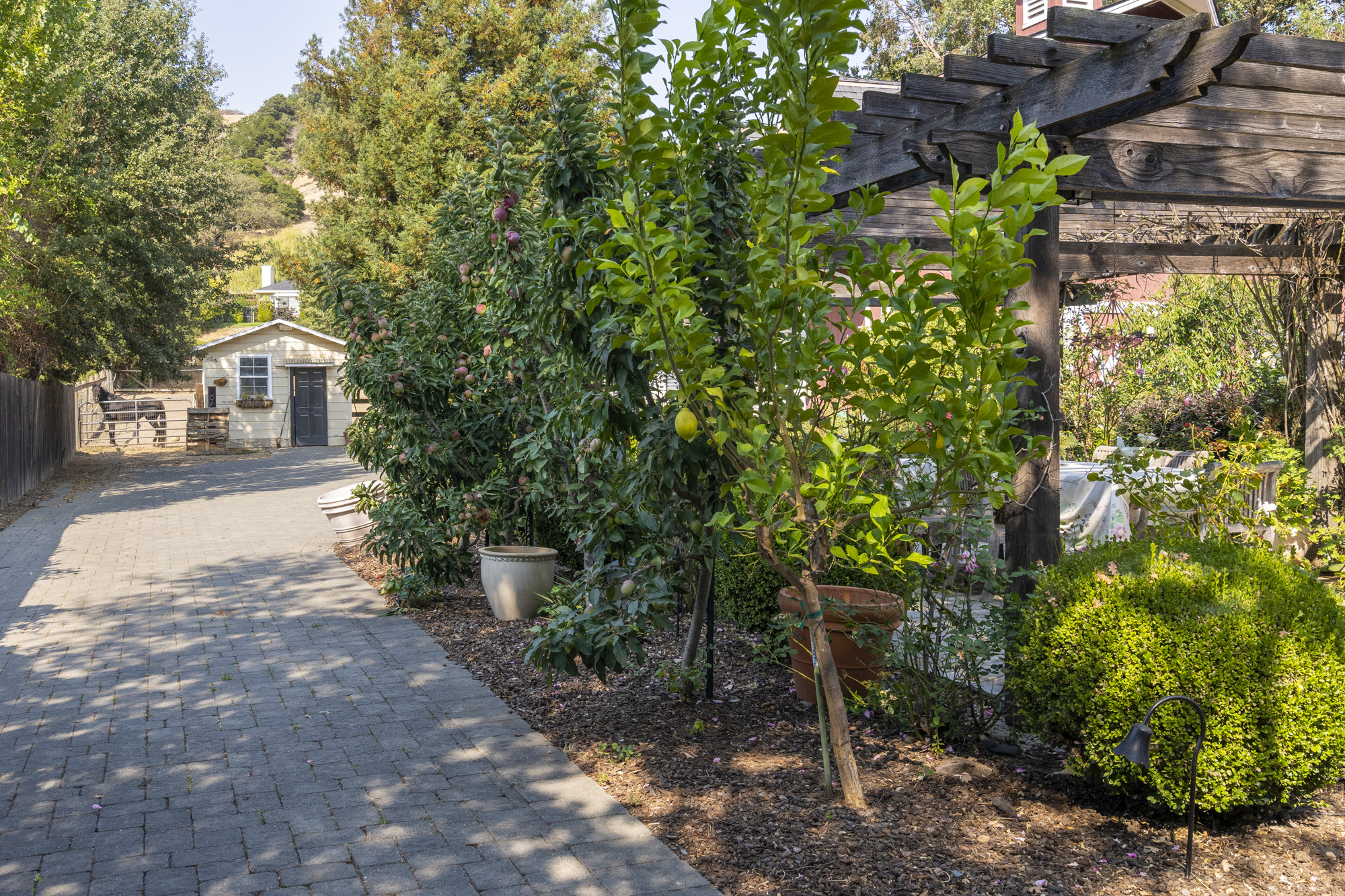  1846 Indian Valley Road, Novato, CA 94947 - 物件實景