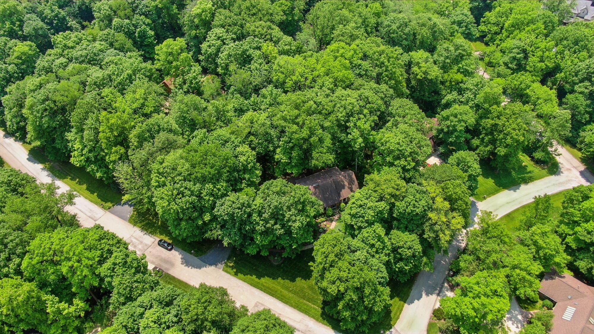 Springfield, Ohio, 45504, United States, 4 Bedrooms Bedrooms, ,3 BathroomsBathrooms,Residential,For Sale,1927340