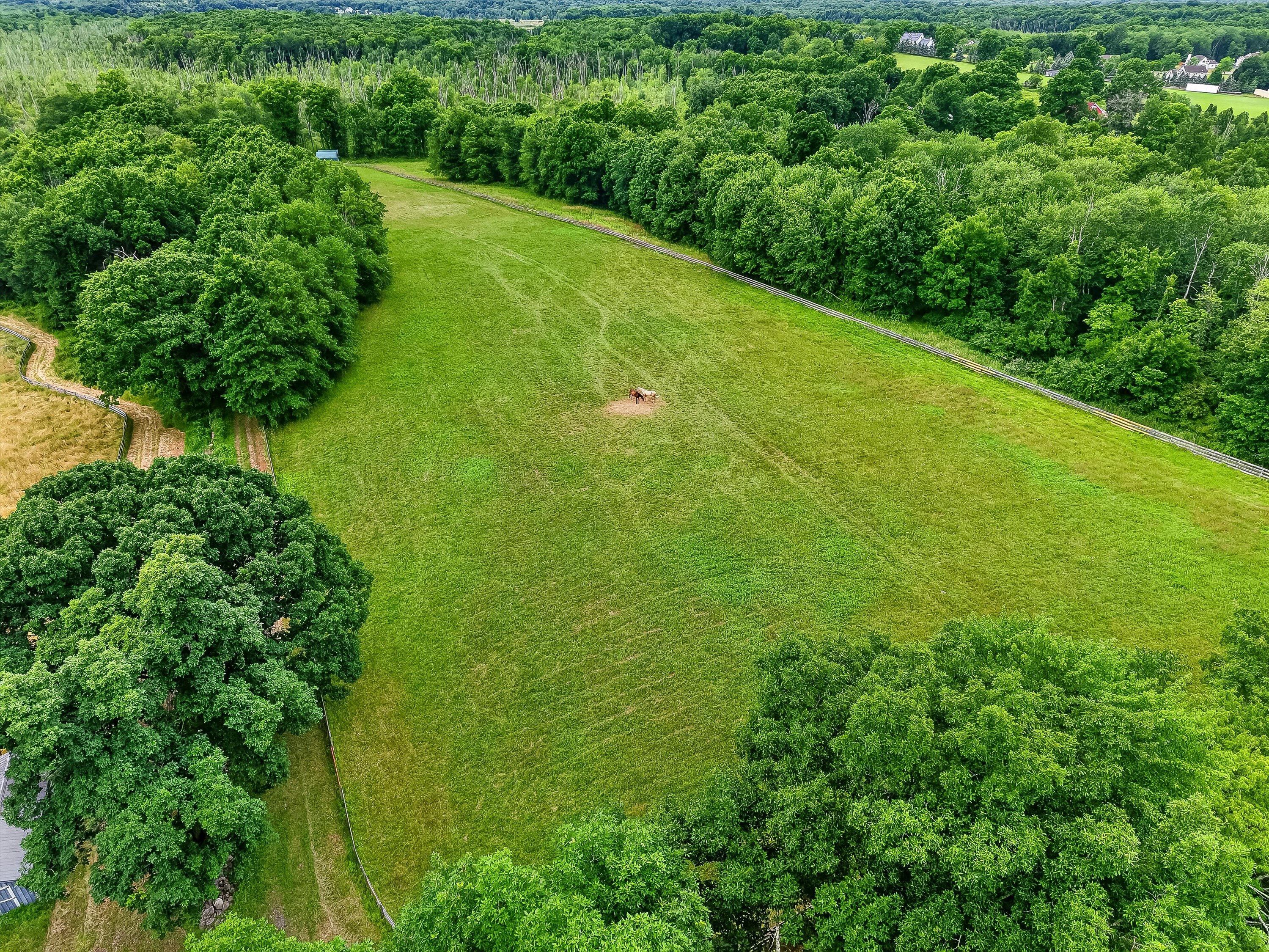  Bucolic Equine Estate - 物件實景