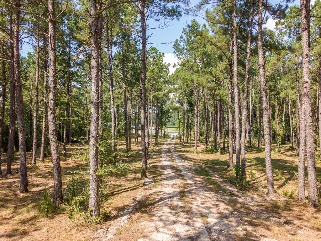 Lufkin, Texas, 75901, United States, ,1 BathroomBathrooms,Residential,For Sale,1980635