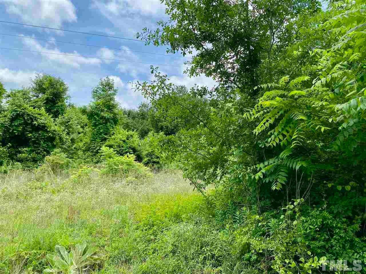 0 devils racetrack RD, Four Oaks, North Carolina, 27524, United States, ,Land,For Sale,0 devils racetrack RD,1432229