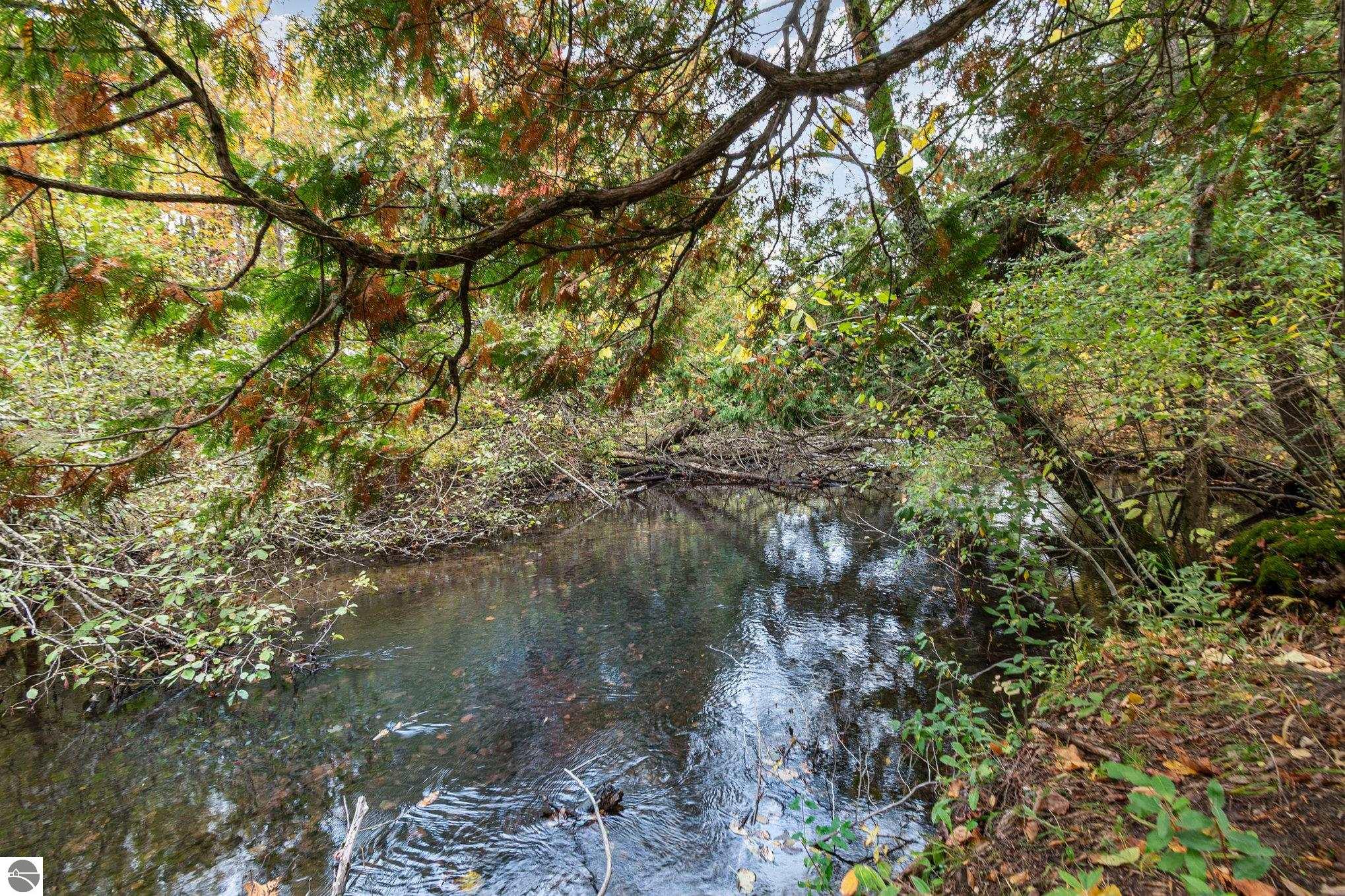 Vestaburg, Michigan, 48891, United States, 6 Bedrooms Bedrooms, ,3 BathroomsBathrooms,Residential,For Sale,1976935