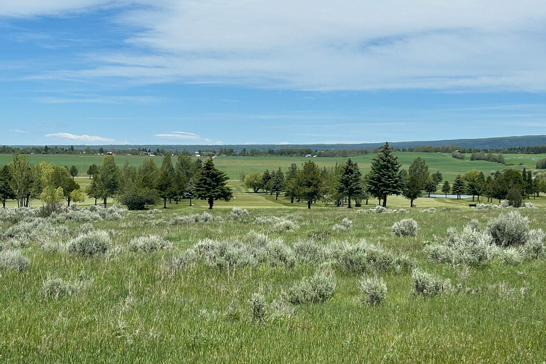  2.9 Acres Site-Alta WY Golf Course - 物件實景