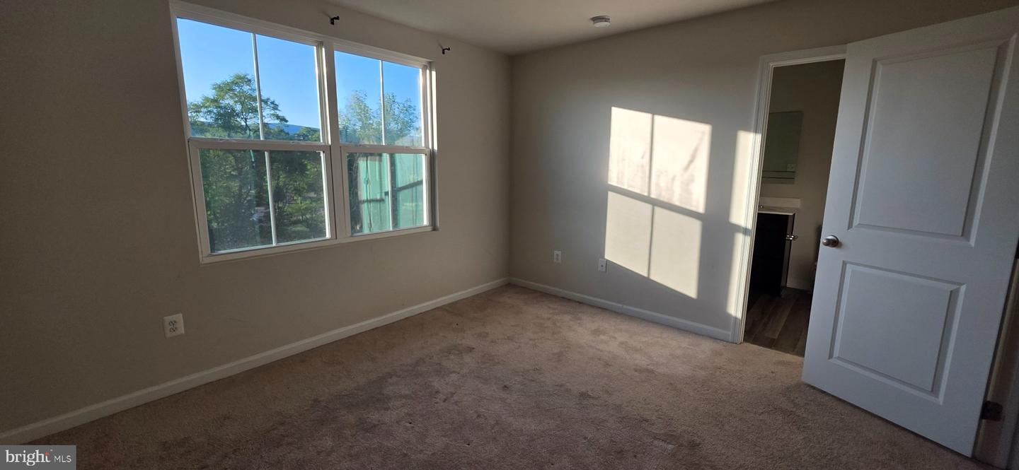 Williams St, Strasburg, VA 22657 #1