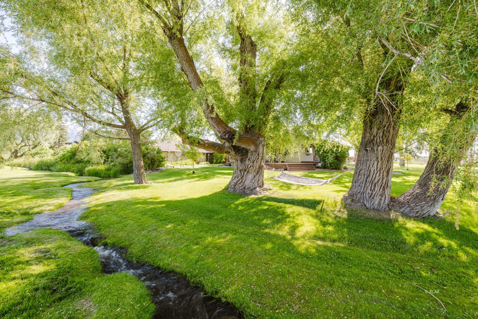 Lamoille, Nevada, 89828, United States, 3 Bedrooms Bedrooms, ,3 BathroomsBathrooms,Residential,For Sale,1849889