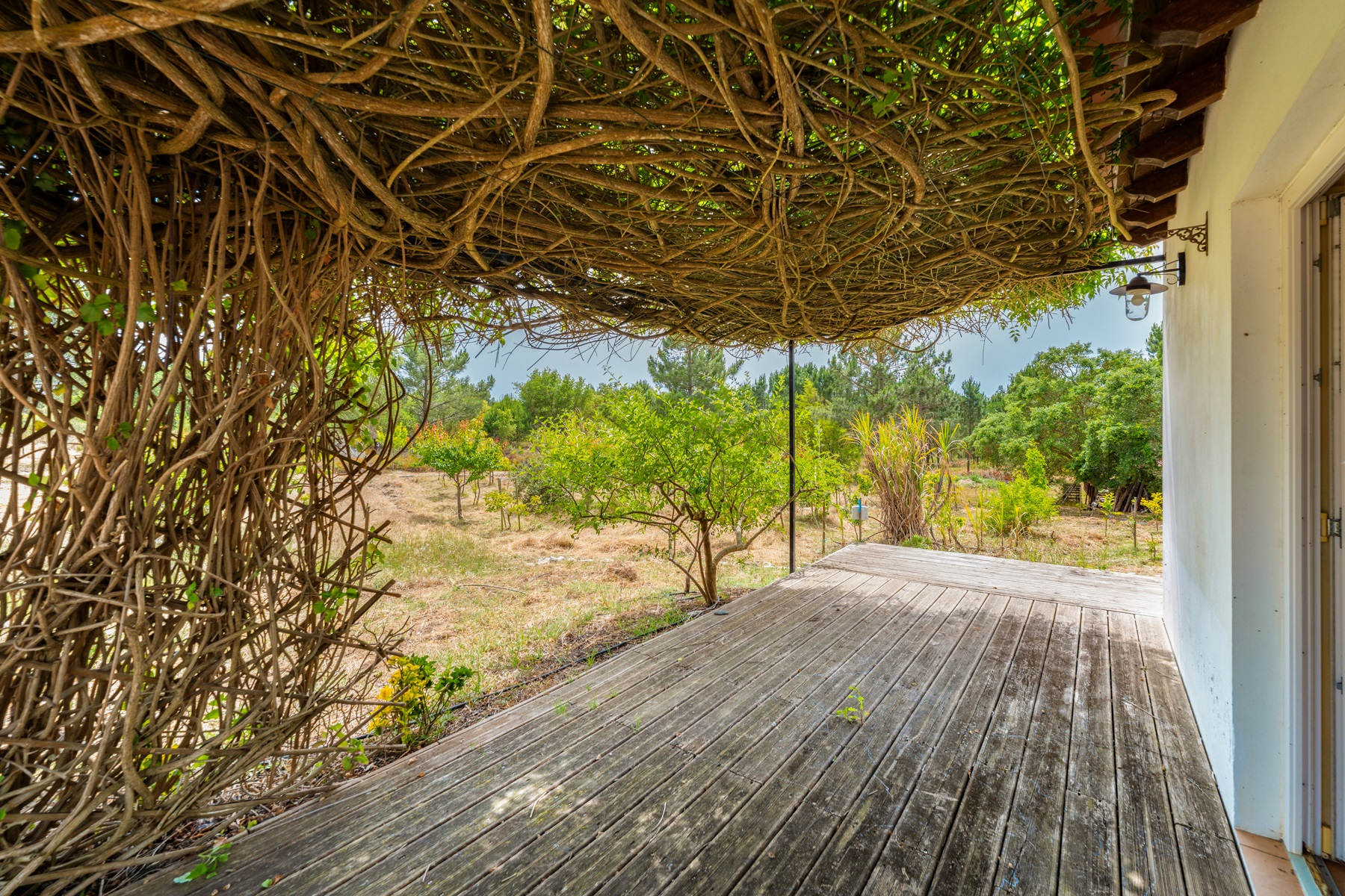  Farm, 7 bedrooms, for Sale - 物件實景