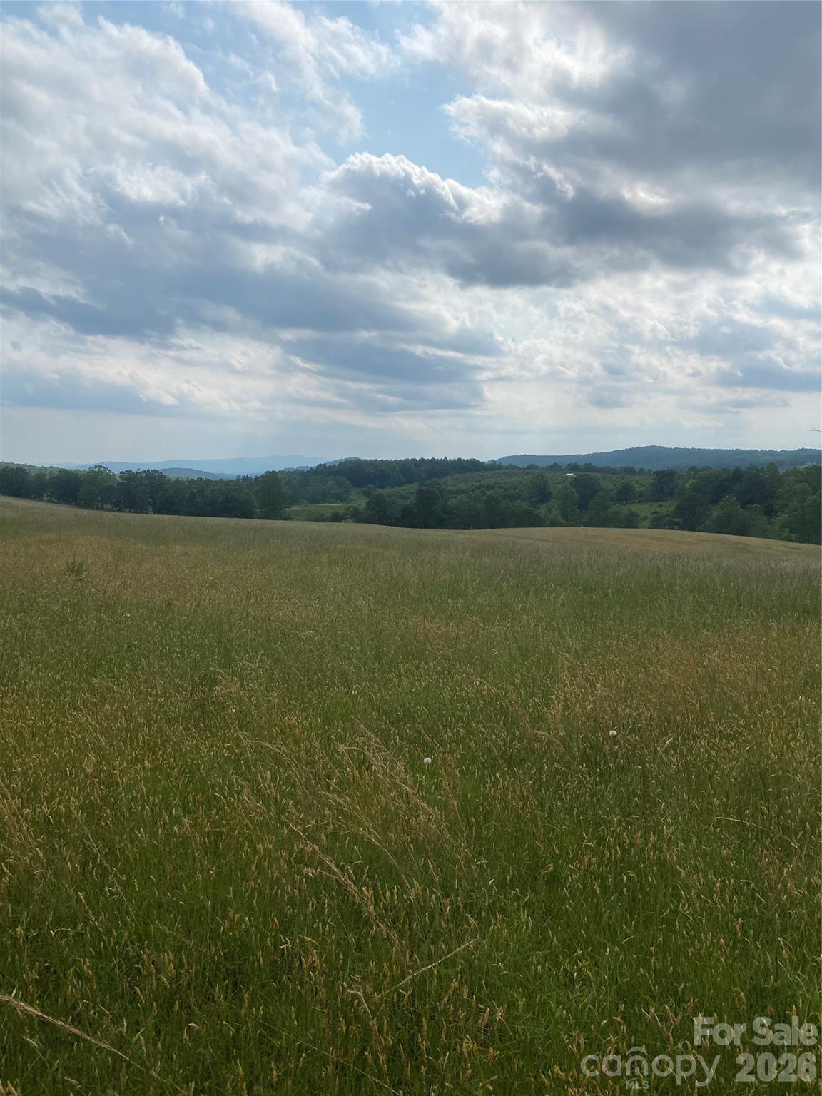 Hendersonville, North Carolina, 28792, United States, ,Land,For Sale,2010421