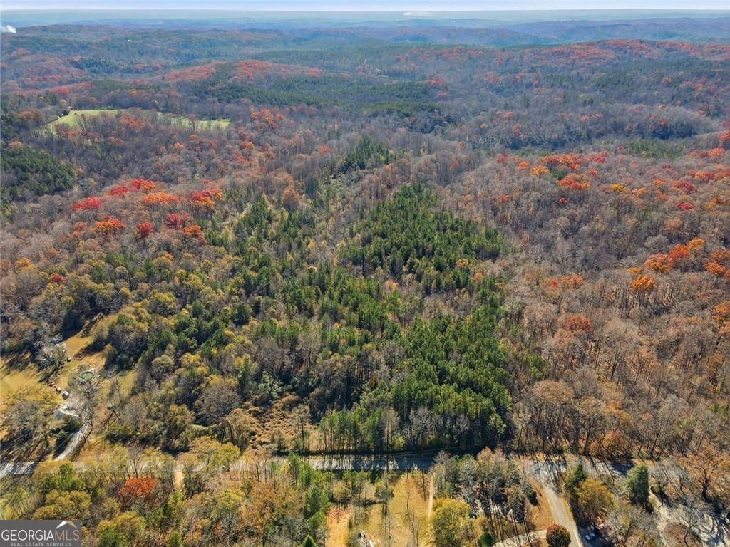 Jasper, Georgia, 30143, United States, ,Land,For Sale,1996551