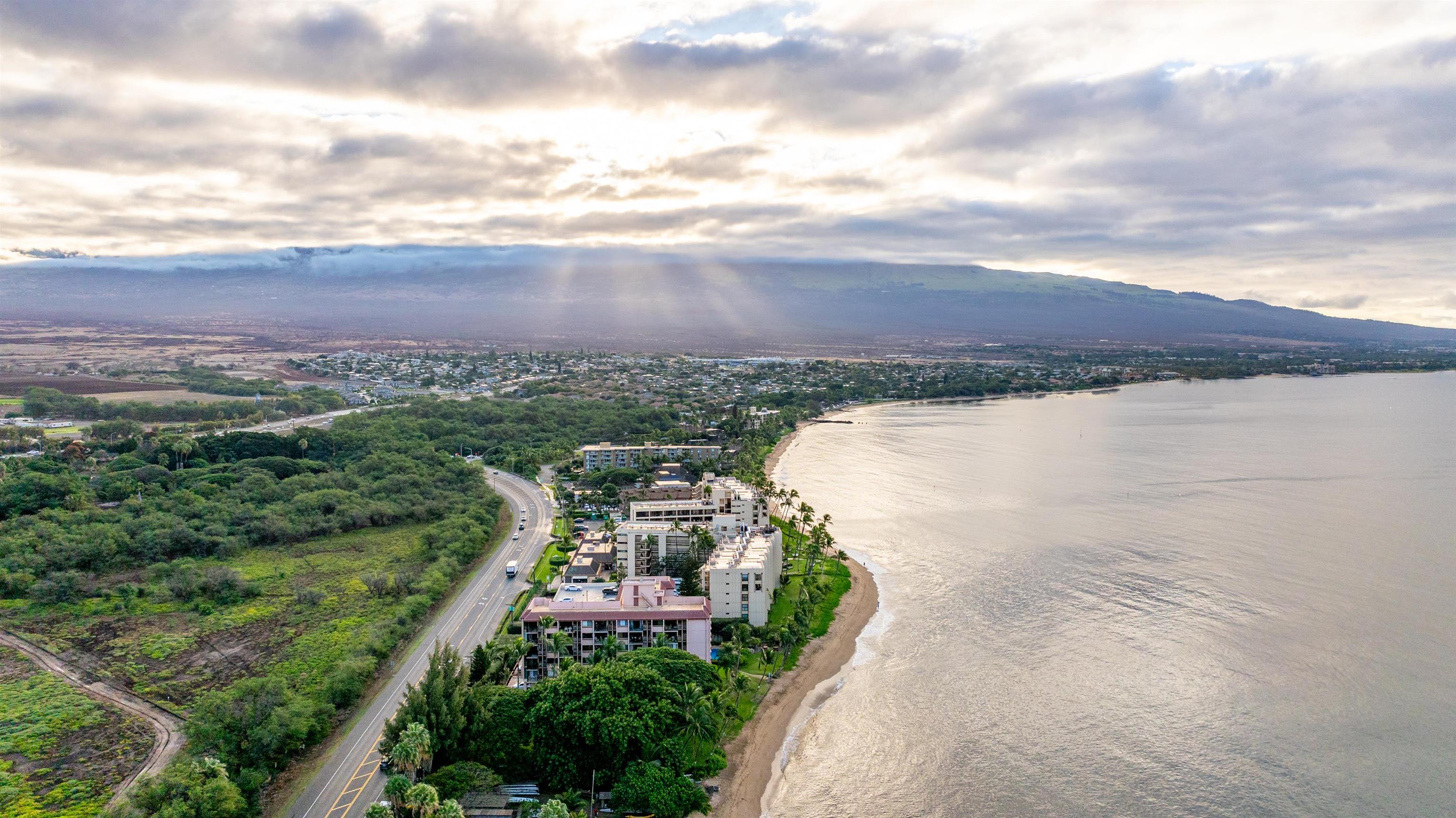 Kihei, Hawaii, 96753, United States, 1 Bedroom Bedrooms, ,1 BathroomBathrooms,Residential,For Sale,1907186
