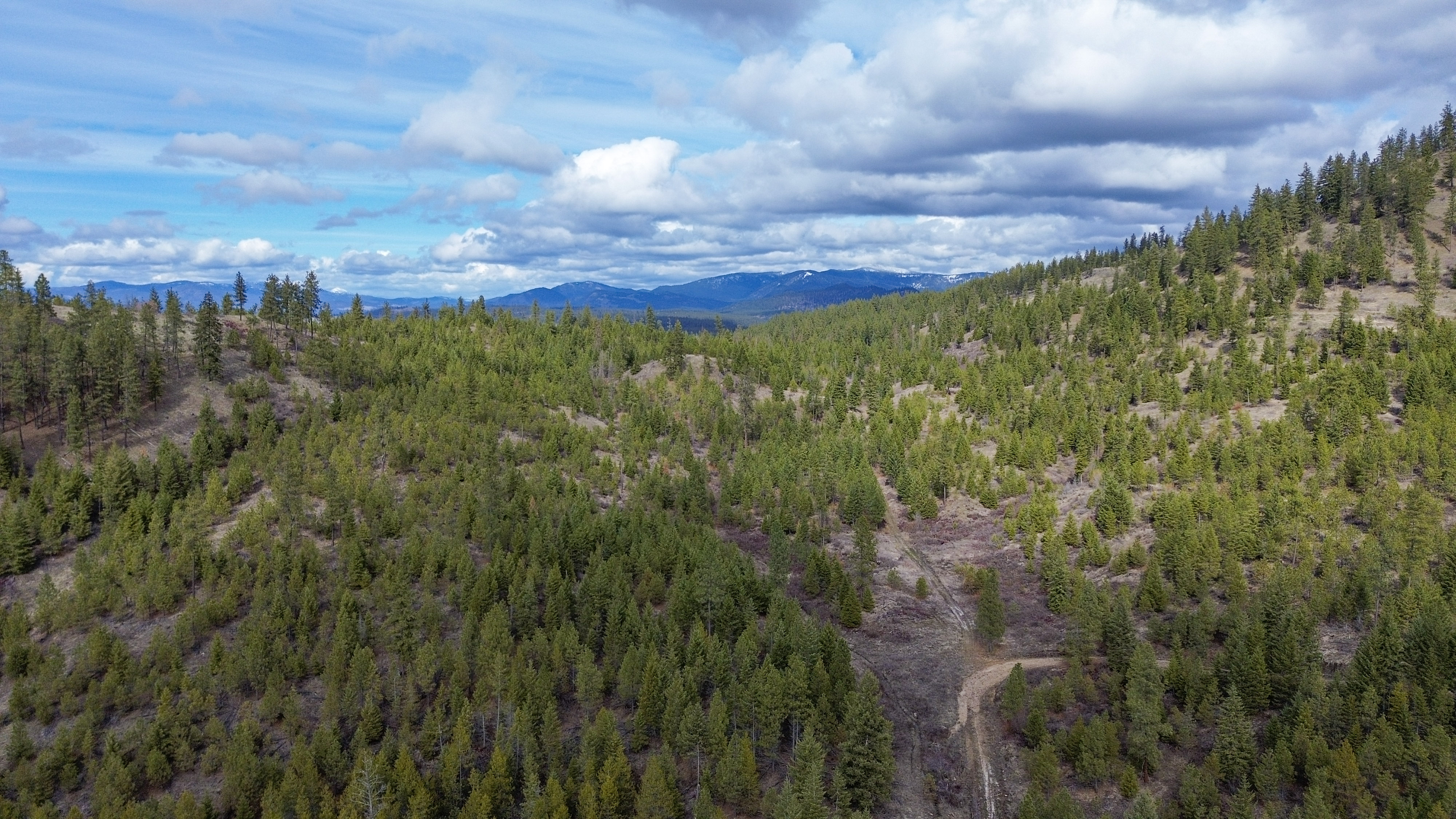 Valley, Washington, 99181, United States, ,Land,For Sale,1979391