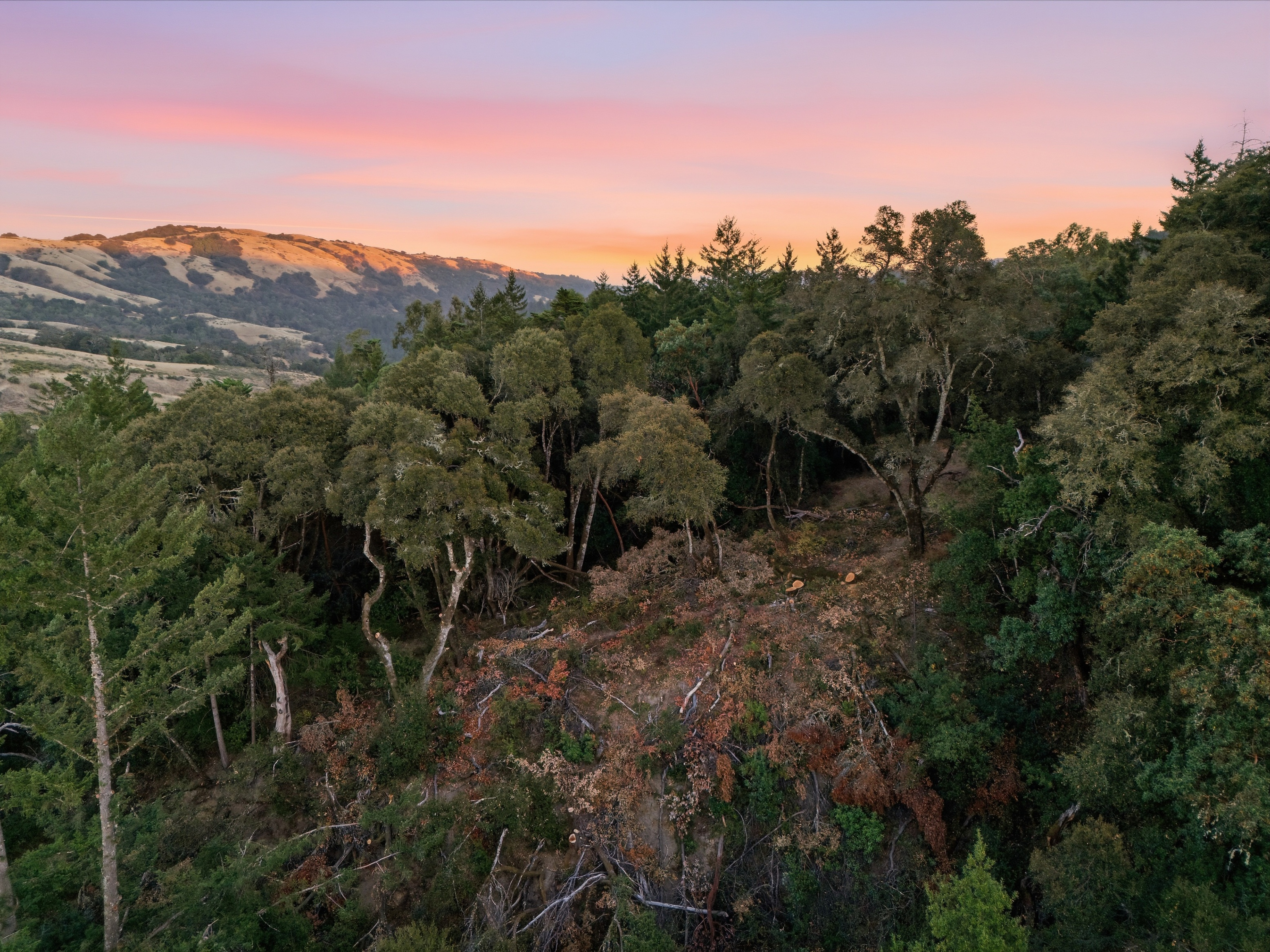  Exceptional Five-Acre Estate Opportunity with Bay Area Views - 物件實景
