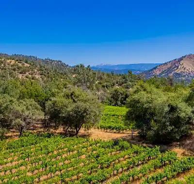 O Neals, California, 93645, United States, 3 Bedrooms Bedrooms, ,2 BathroomsBathrooms,Residential,For Sale,1981771