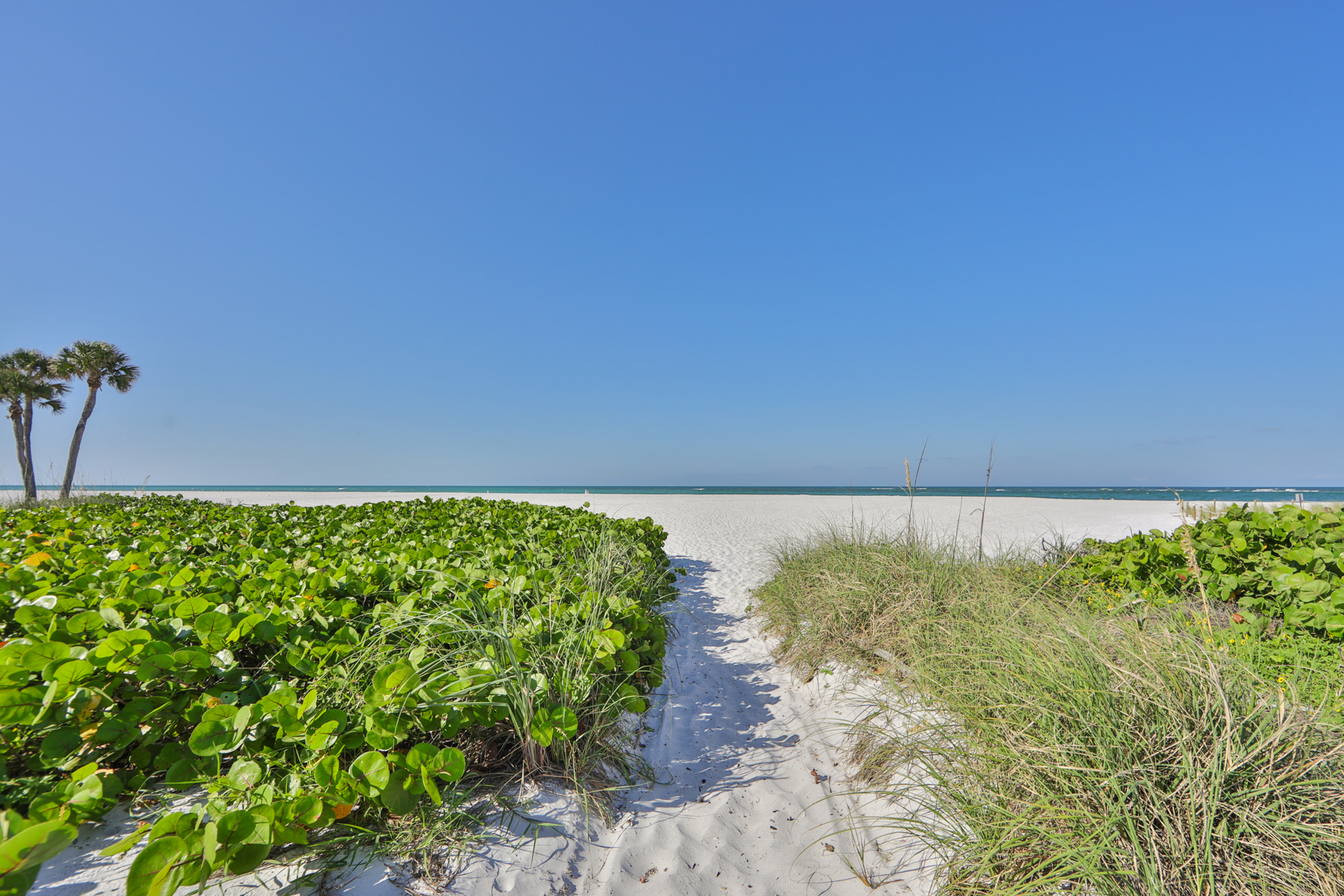 Treasure Island, Florida, 33706, United States, ,Land,For Sale,1984421