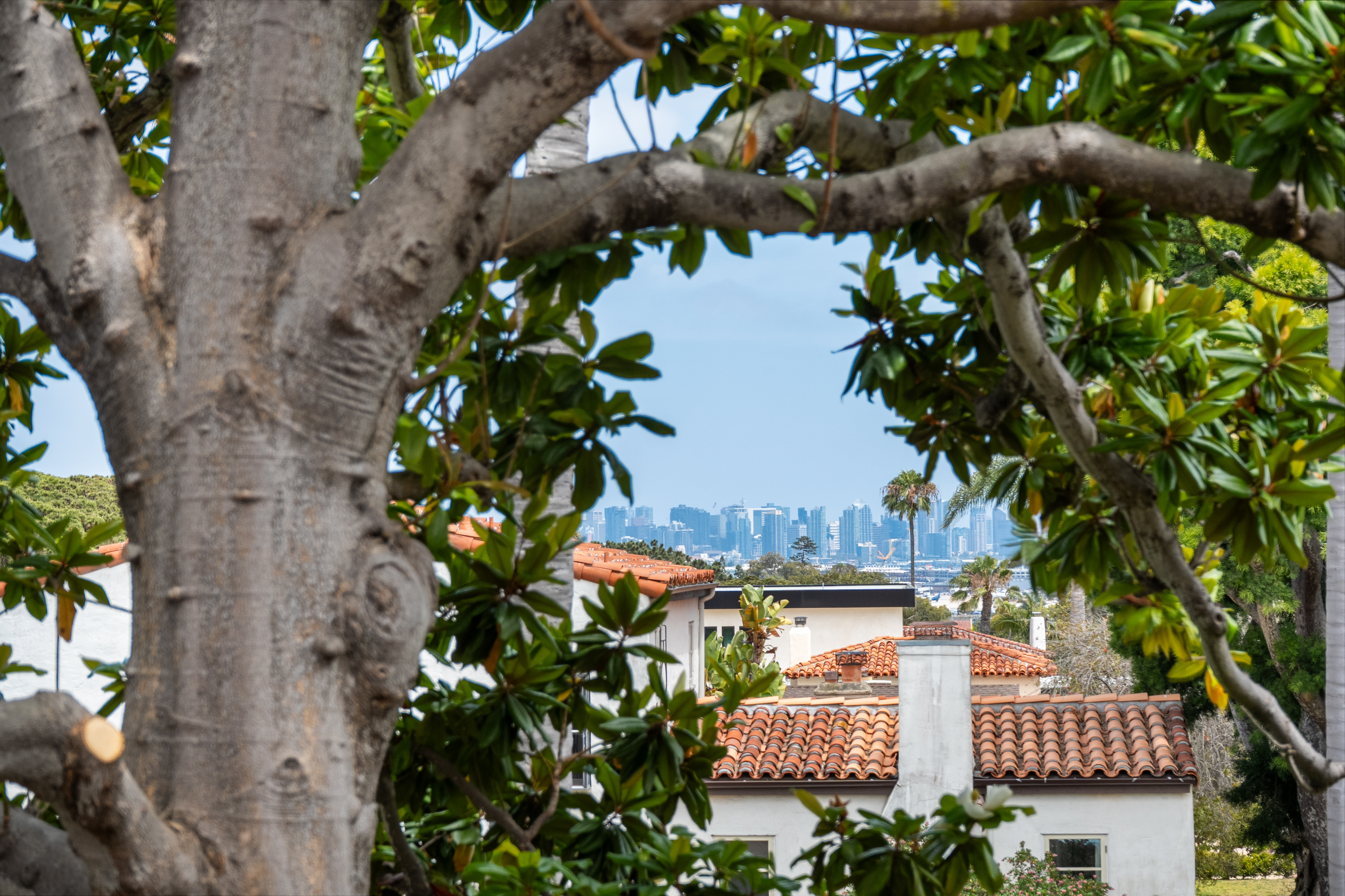  3702 Lotus Drive, San Diego, CA 92106 - 物件實景