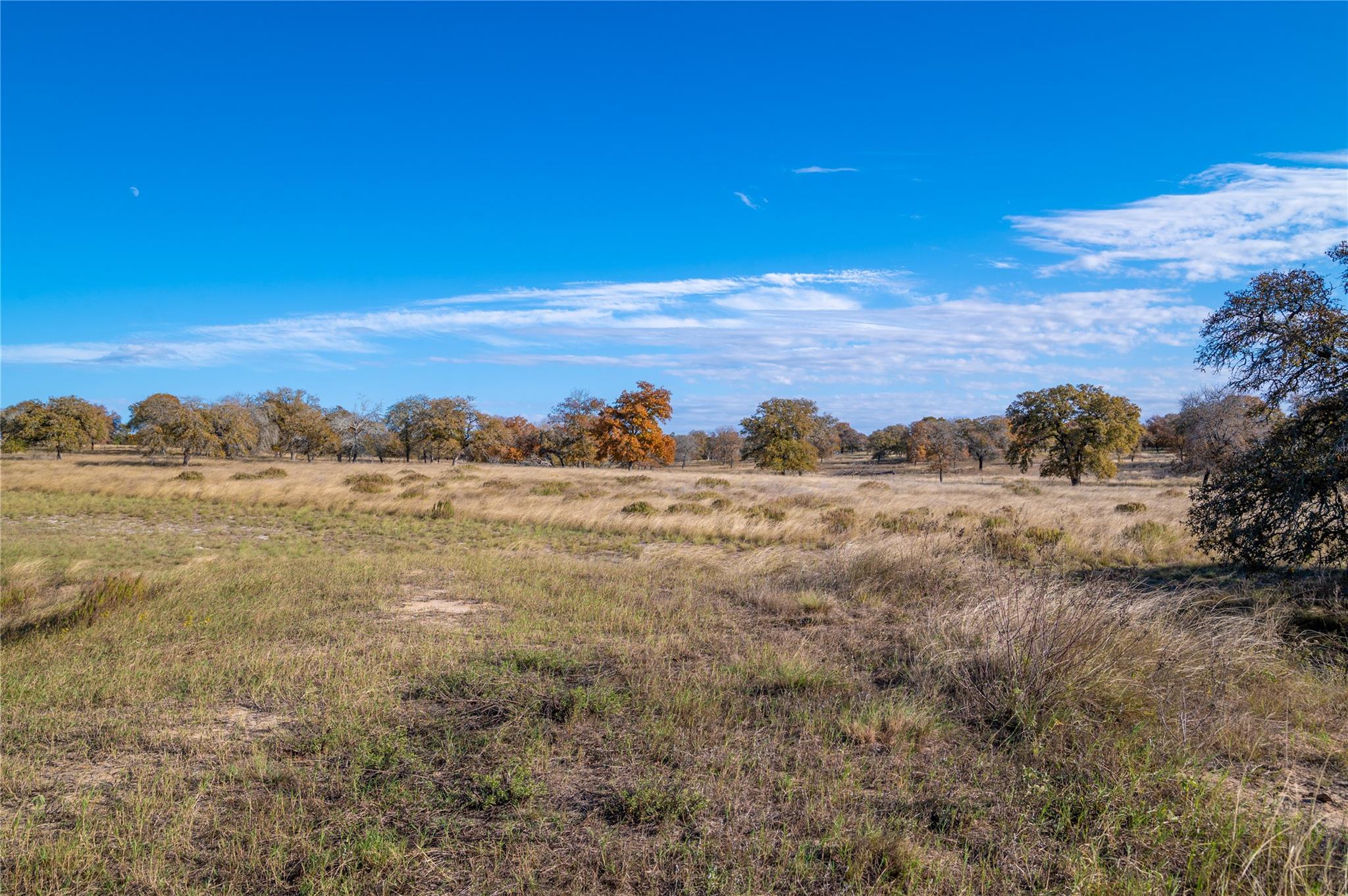 Stockdale, Texas, 78160, United States, 1 Bedroom Bedrooms, ,1 BathroomBathrooms,Residential,For Sale,1937529