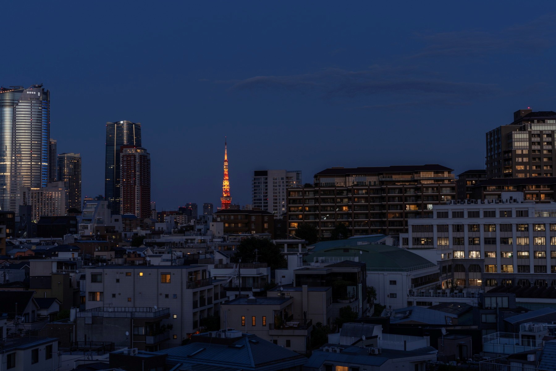  DOMUS TOKIWAMATSU - 物件實景